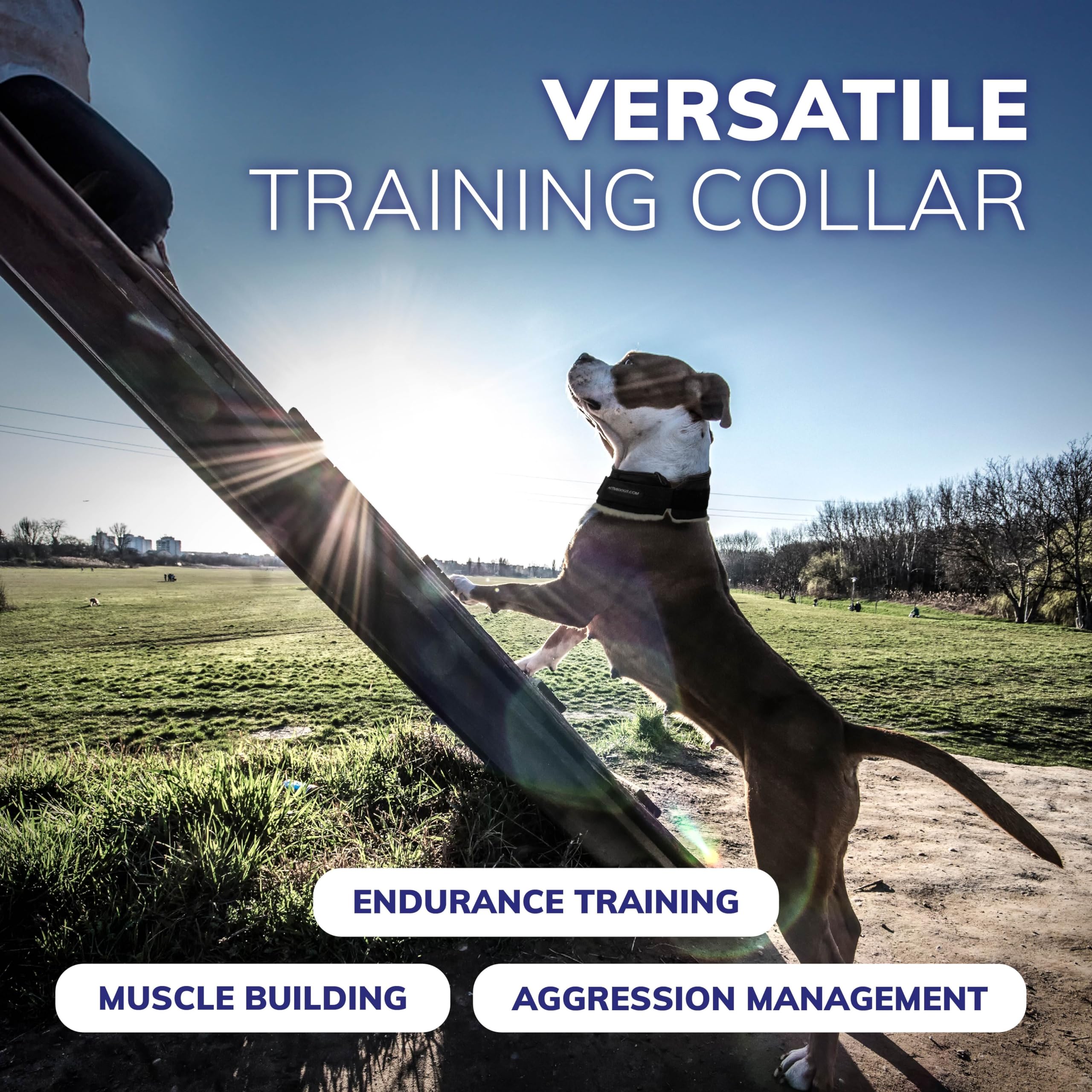 Weighted Dog Training Collar For Muscle Building, Tactical Training, Aggression & Weight Management - 5X1Lb Weights & Sheepskin Padded Dog Collar For K9, Bully, Bull Terrier & More