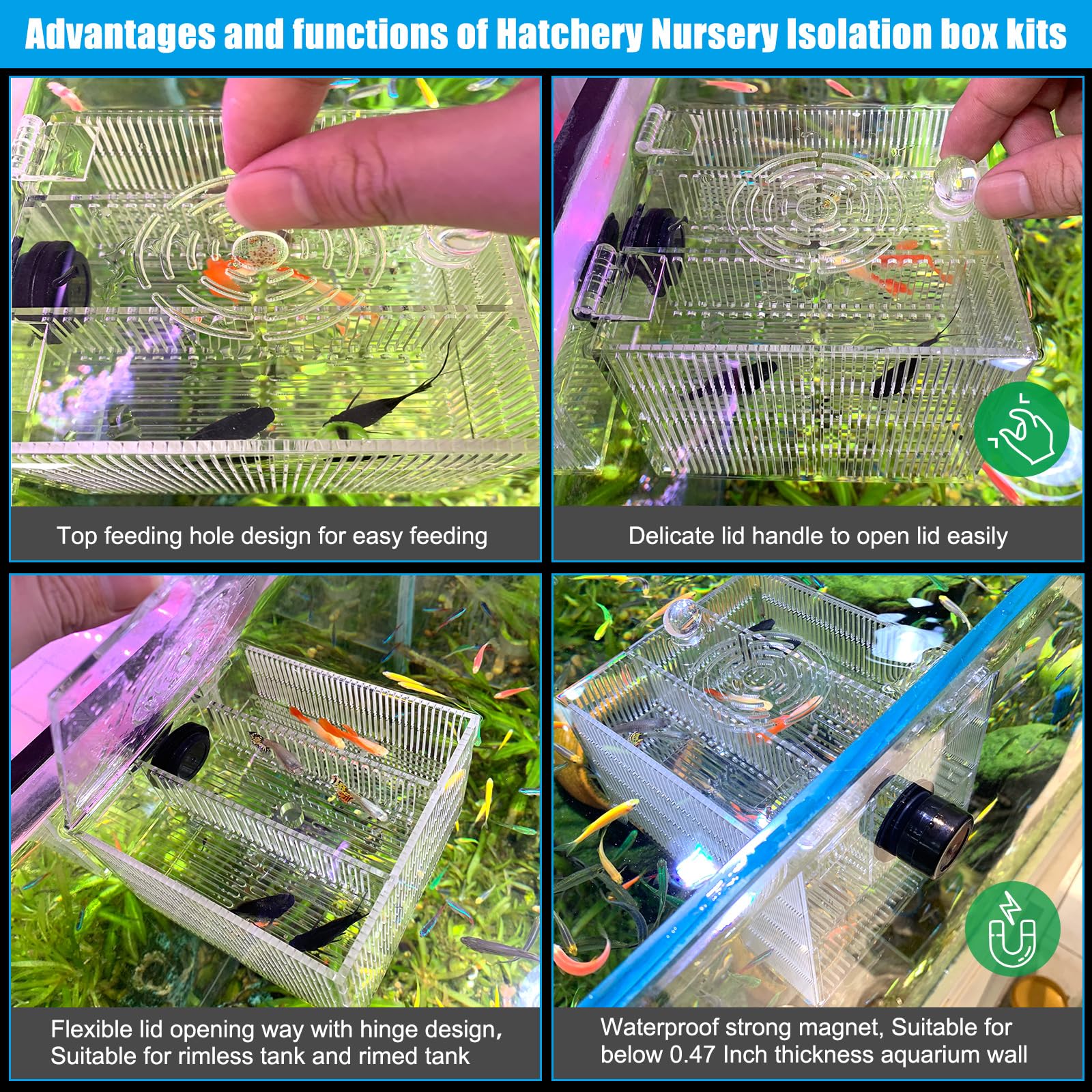 Magnetic Fish Breeder Box For Isolation Boxes Acclimation Hatchery Breeding Incubator For Guppy Baby Betta Shrimp Saltwater Clow