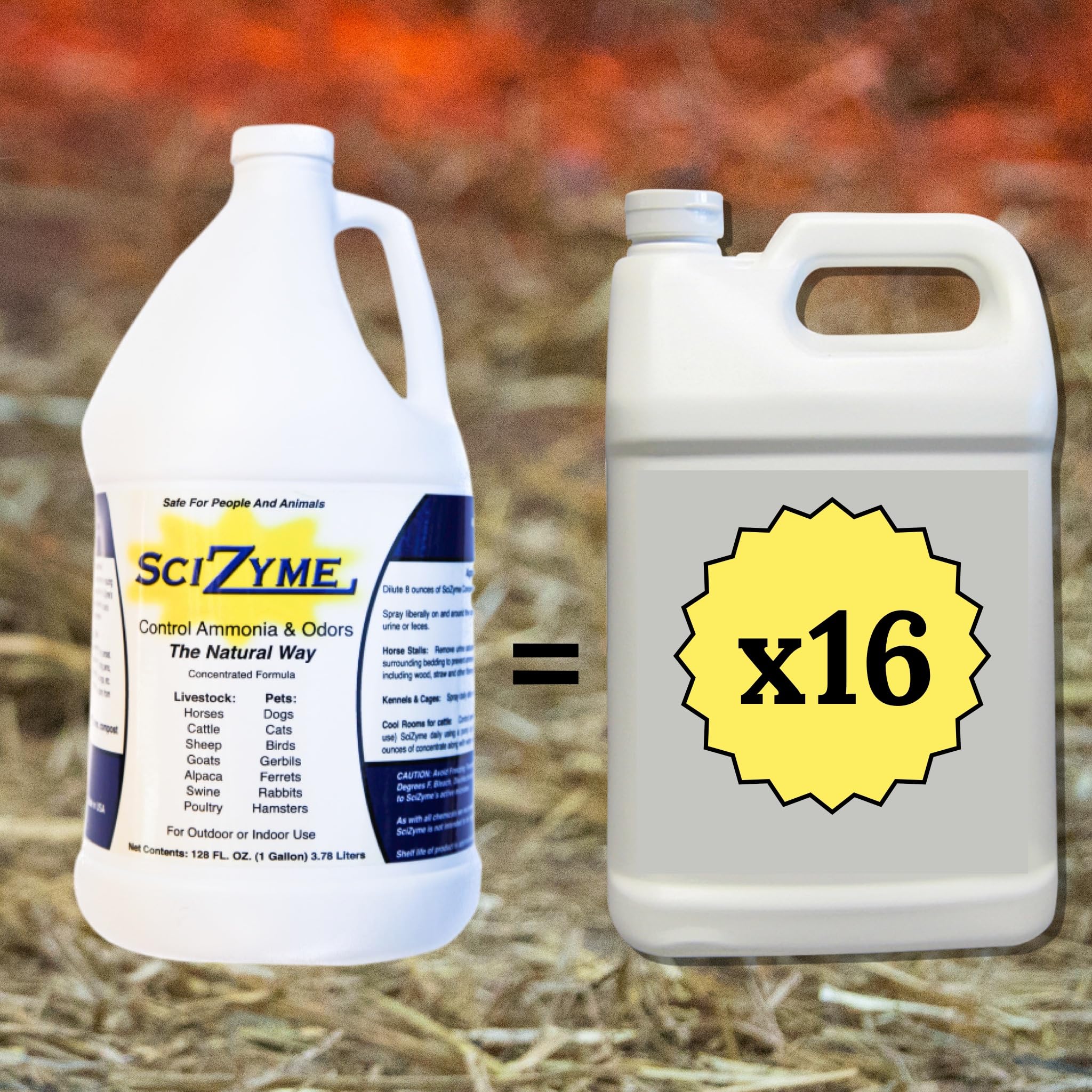 Scizyme - Enzyme Based Eliminator & Control Odors & Ammonia In Cooler Rooms, Barns, Trailers, Kennels, Etc. (Makes 16 Gallons)