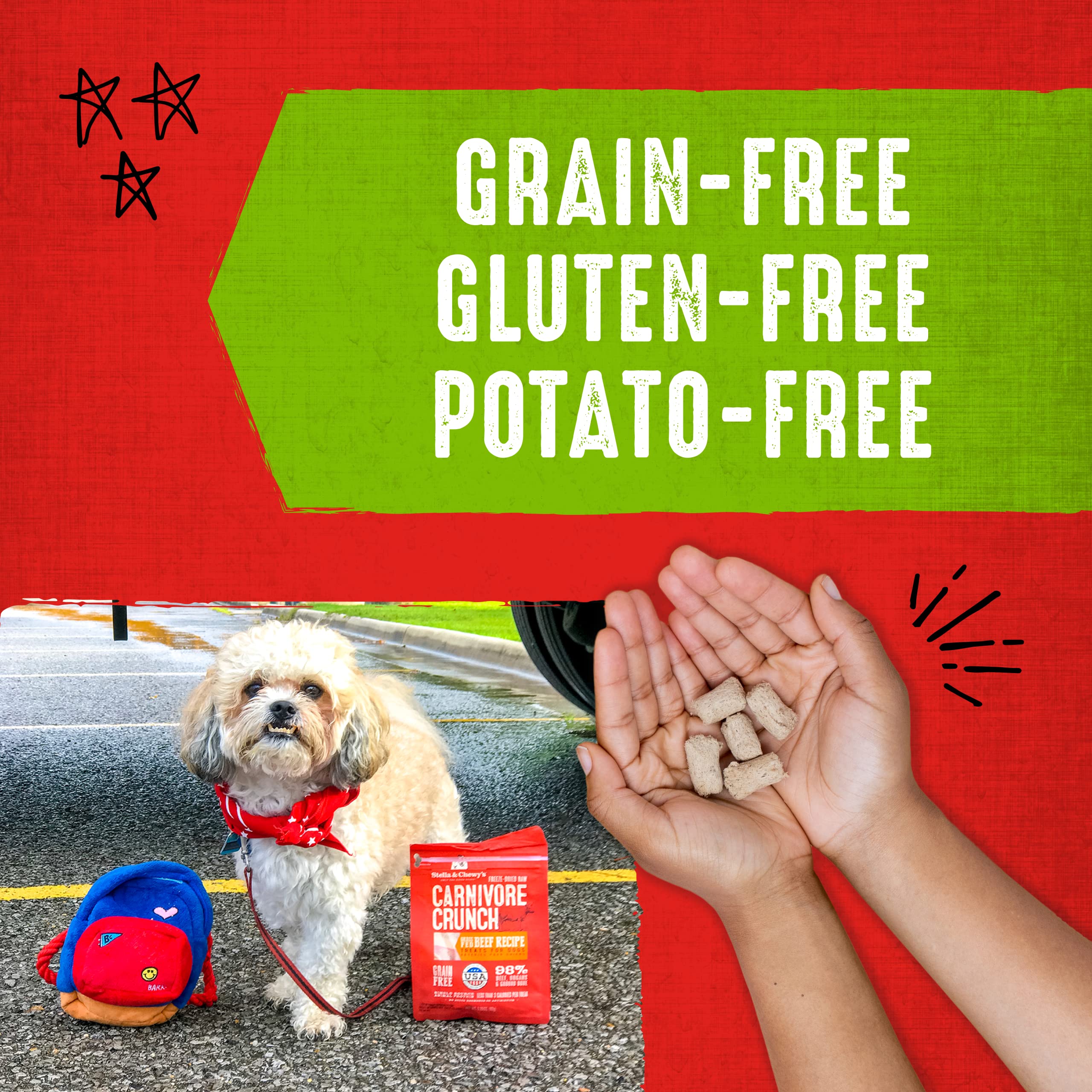 Stella & Chewy's Freeze-Dried Raw Dog Treats, Cage-Free Duck, 3.25 oz. Bag - Healthy Crunchy Snack for Dogs