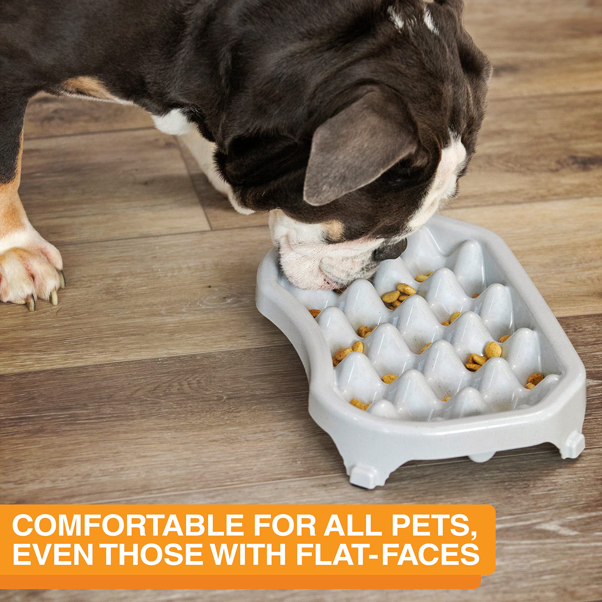 Neater Pet Brands - Neater Slow Feeder - Fun, Healthy, Stress Free Dog Bowl Helps Stop Bloat Prevents Obesity Improves Digestion