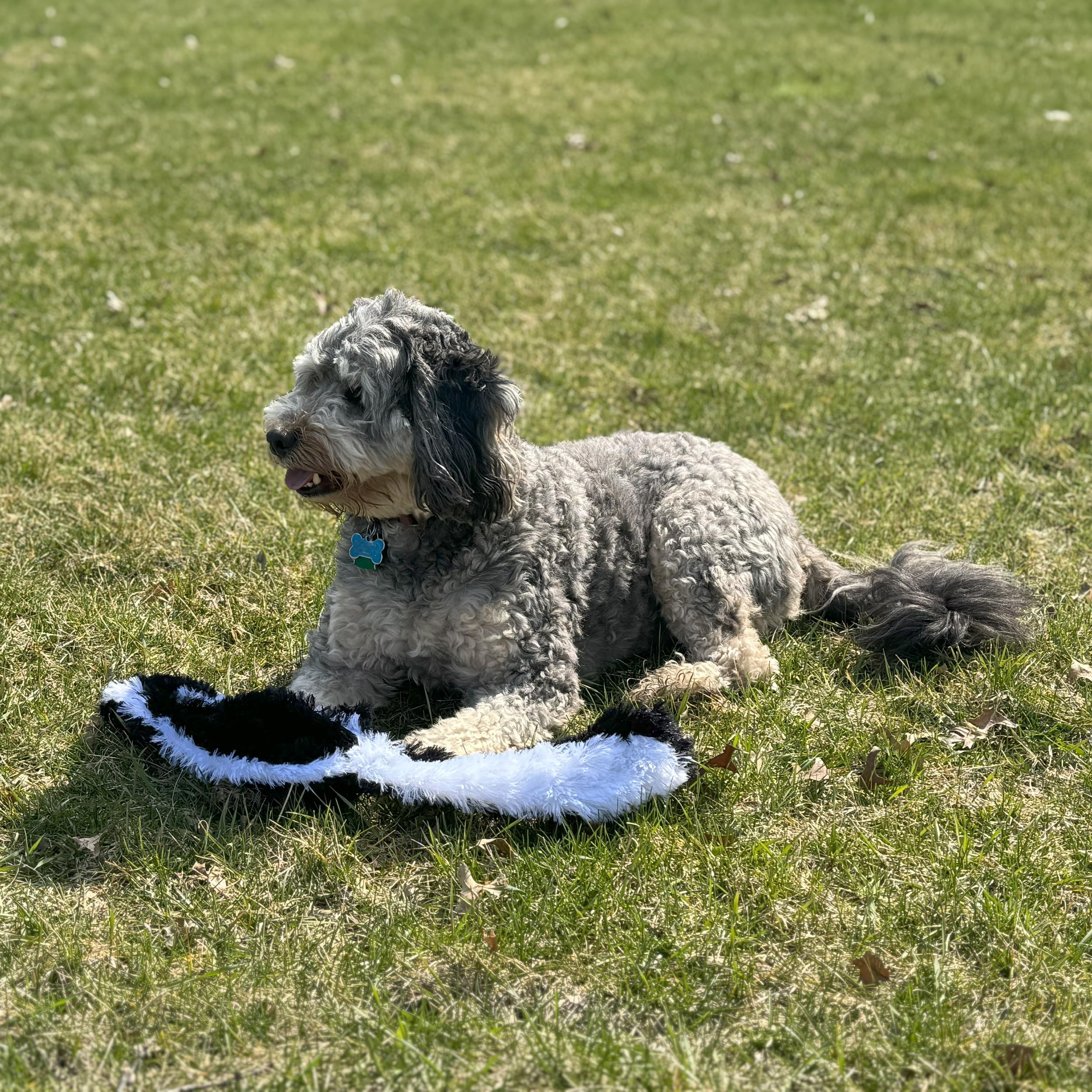 Skinneeez Skunk Dog Toy