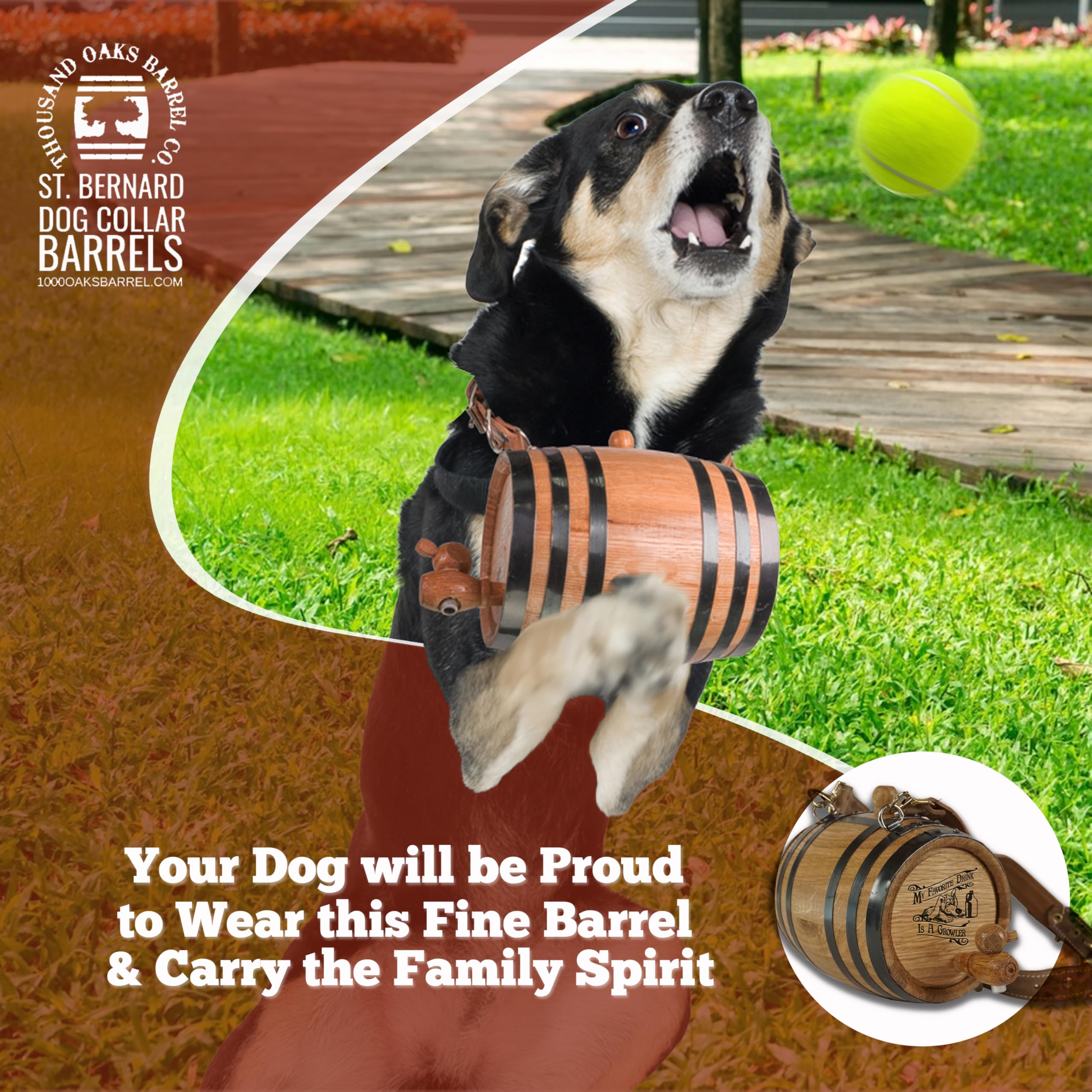 St Bernard Whiskey Barrel Collar For Dog, 'Favourite Drink Is A Growler' - 1/2 Liter Oak Aging Barrel Dispenser For Saint Bernar