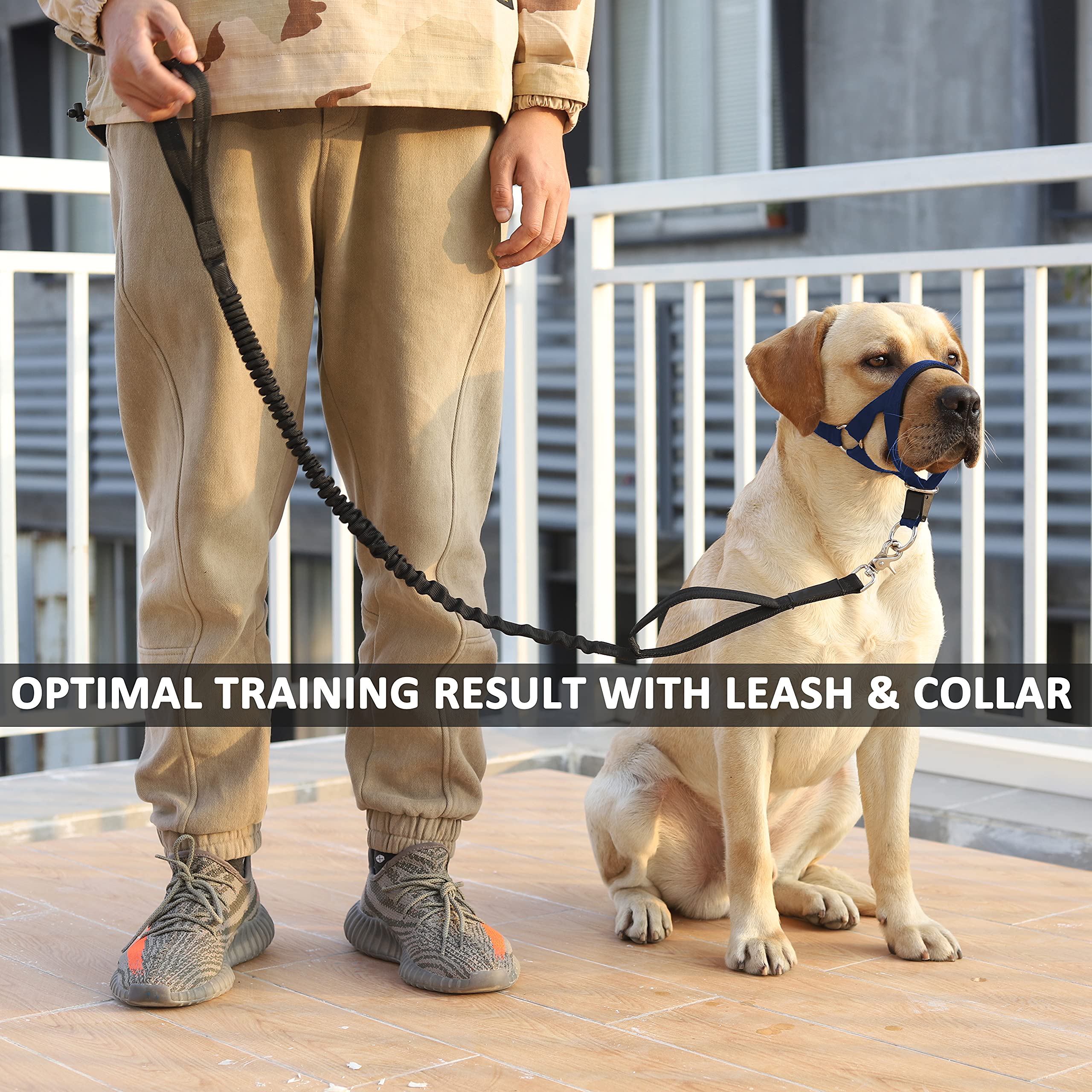 No-Pull Head Collar For Dogs Training & Walking Made Easy, Soft Dog Halter Harness With Expert Training Guide - Put An End To Pulling On The Leash (M, Navy Blue)