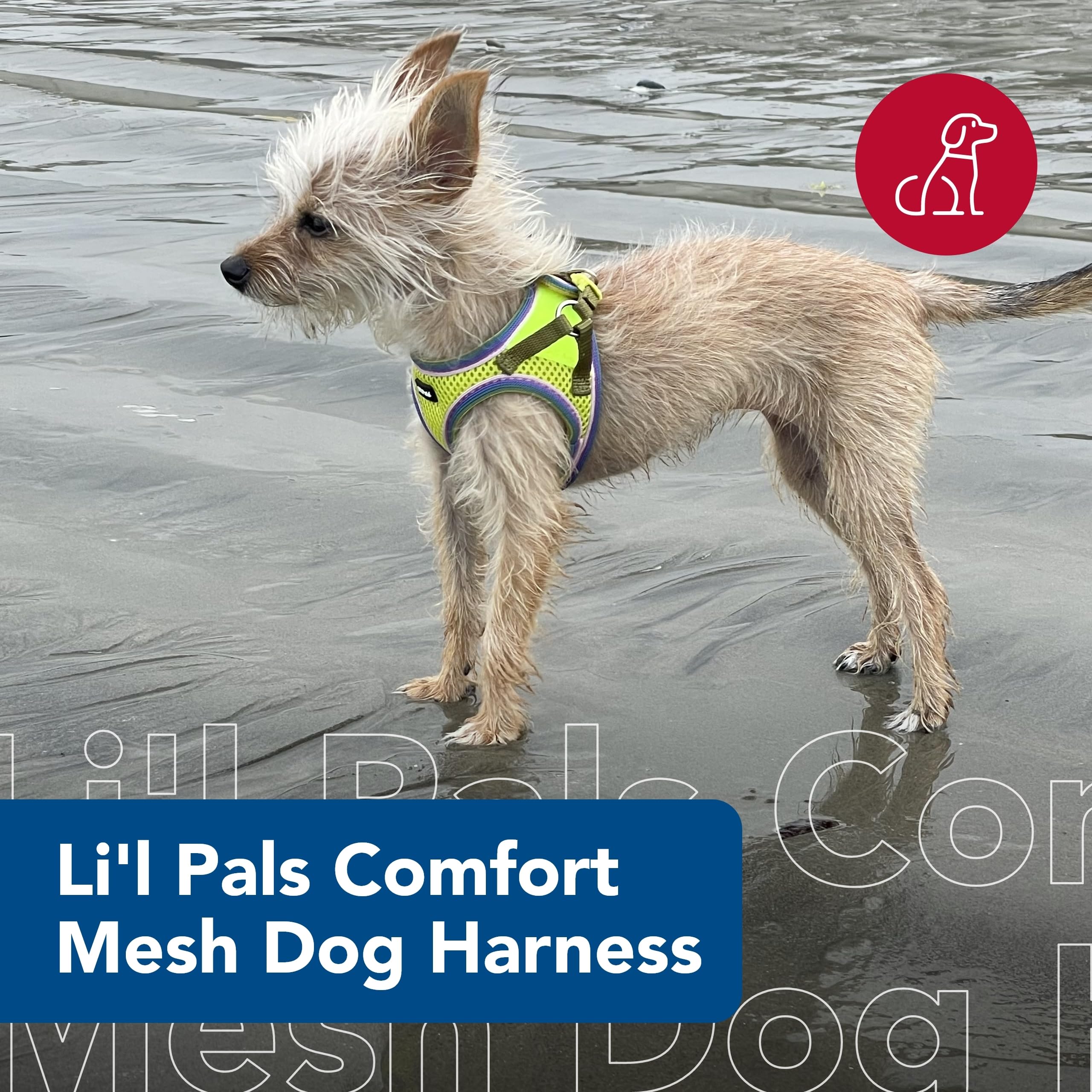 Coastal Pet Li'L Pals Comfort Mesh Dog Harness - No-Pull Step-In Dog Harness For Small Dogs & Puppies - Dog Cooling Vest - Lime
