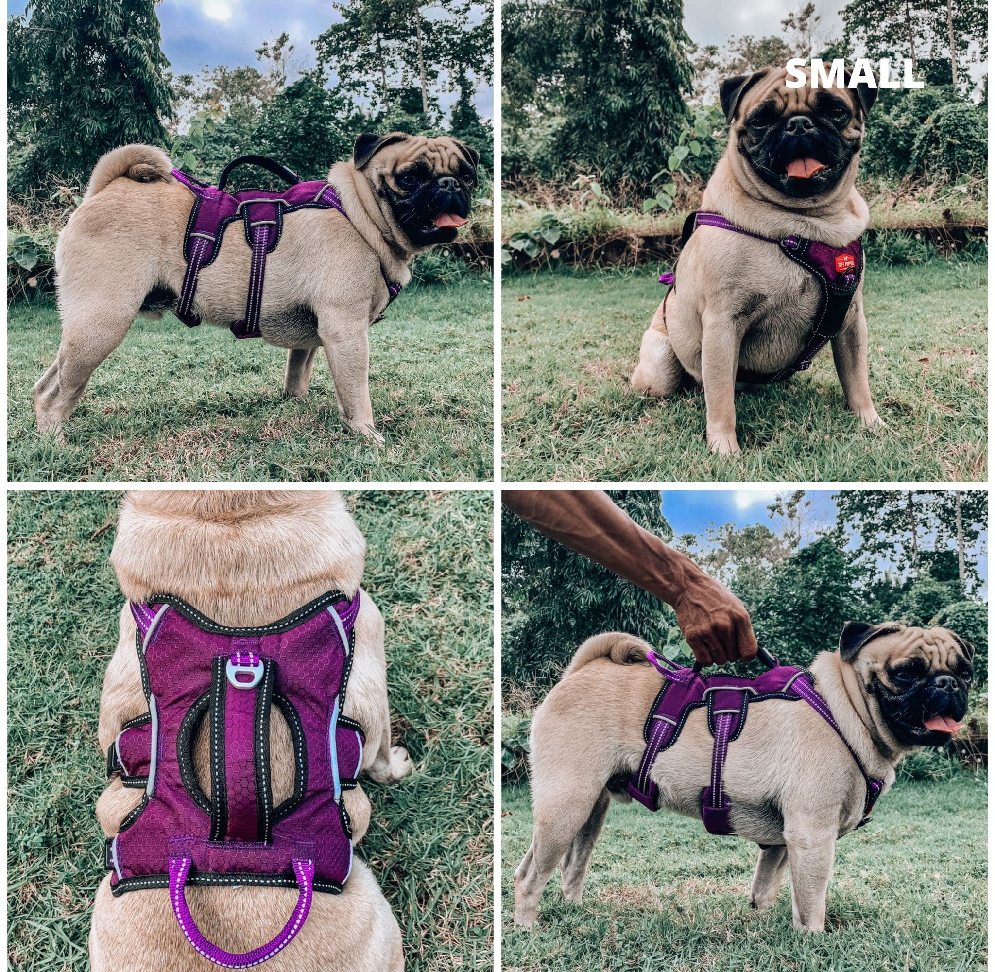 Tuff Pupper Escape Proof No Escape Dog Harness | 5 Point Adjustable Fit Harness for Dogs | Padded Dogs Harnesses | Handle Dog Li
