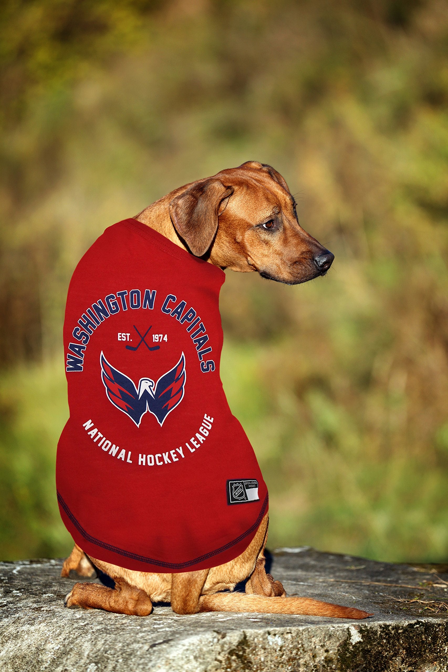 NHL Washington Capitals Tee Shirt for Dogs & Cats, Medium. - Are You A Hockey Fan? Let Your Pet Be An NHL Fan Too!