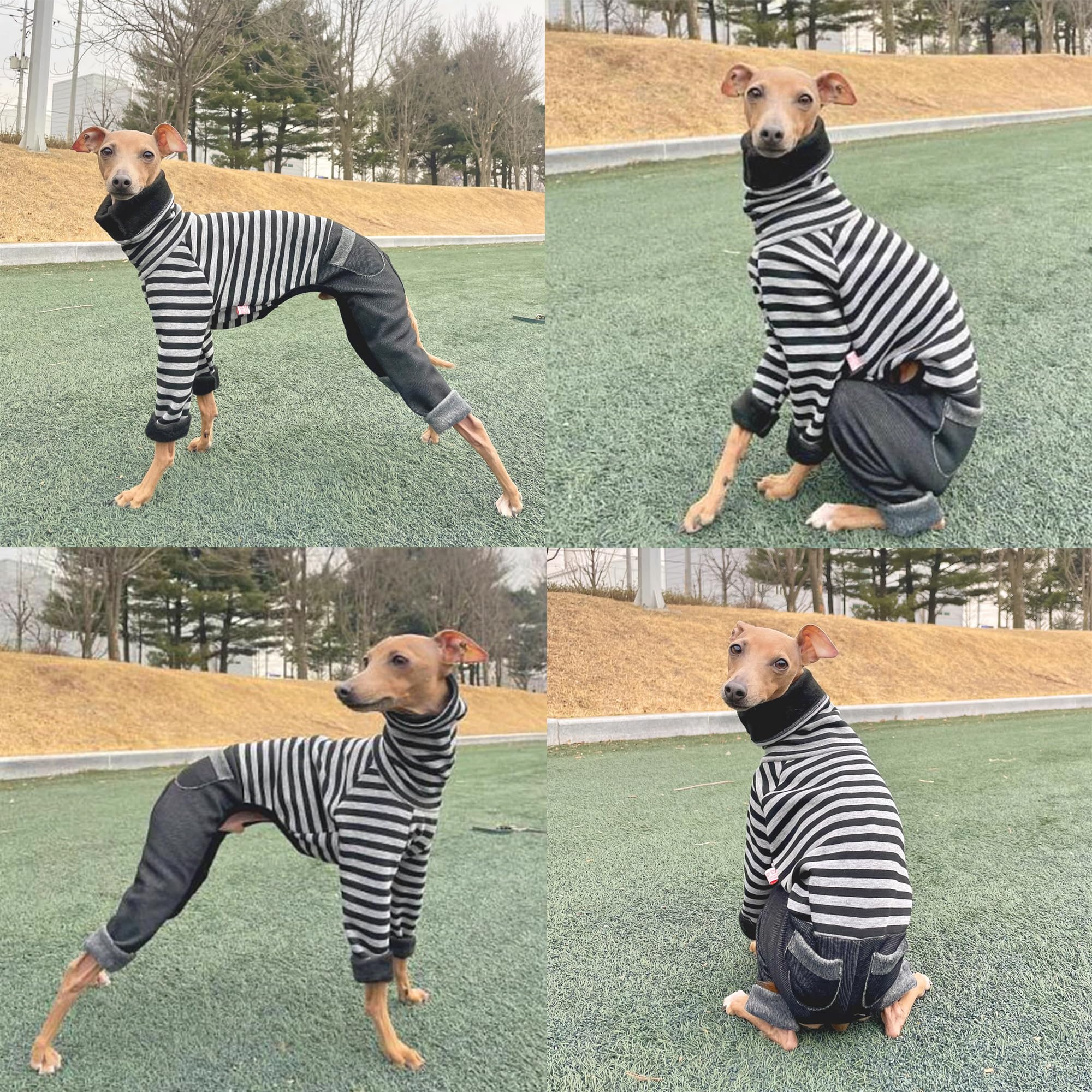 D Doggy Star Italian Greyhound Clothes Stripe Fleece Stretchable Denim Onesie Whippet For Dog Turtleneck Outfits Coat (Xl,Denim