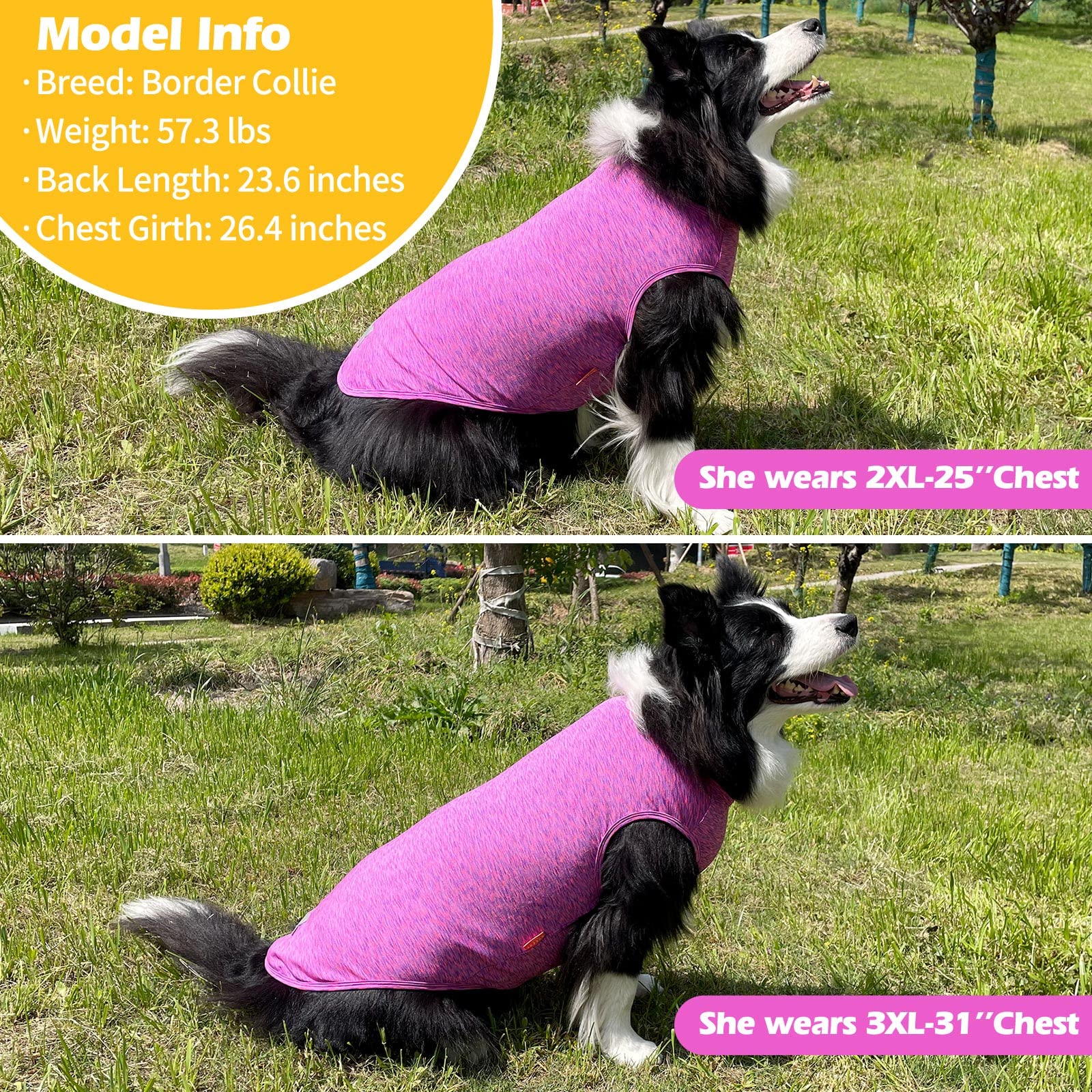 Kyeese 2 Pack Dog Shirts Quick Dry Soft Stretchy Dog T-Shirts With Reflective Label Tank Top Sun Protection Sleeveless Vest Dog
