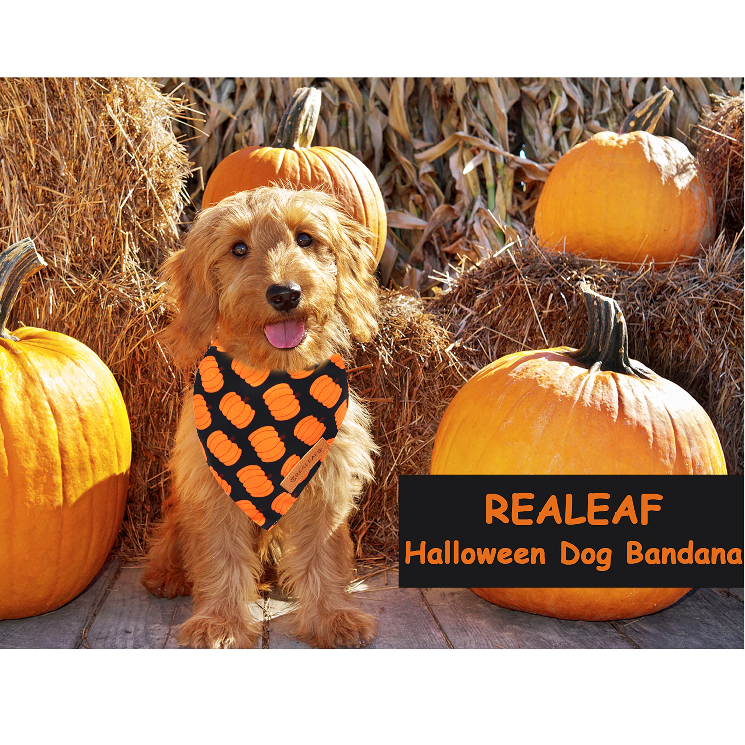 Realeaf Halloween Dog Bandanas 2 Pack, Pumpkin Dog Bandana Fall Dog Scarf For Boy And Girl, Premium Durable Fabric, Orange Holiday Bandana For Small And Medium Dogs (Small)