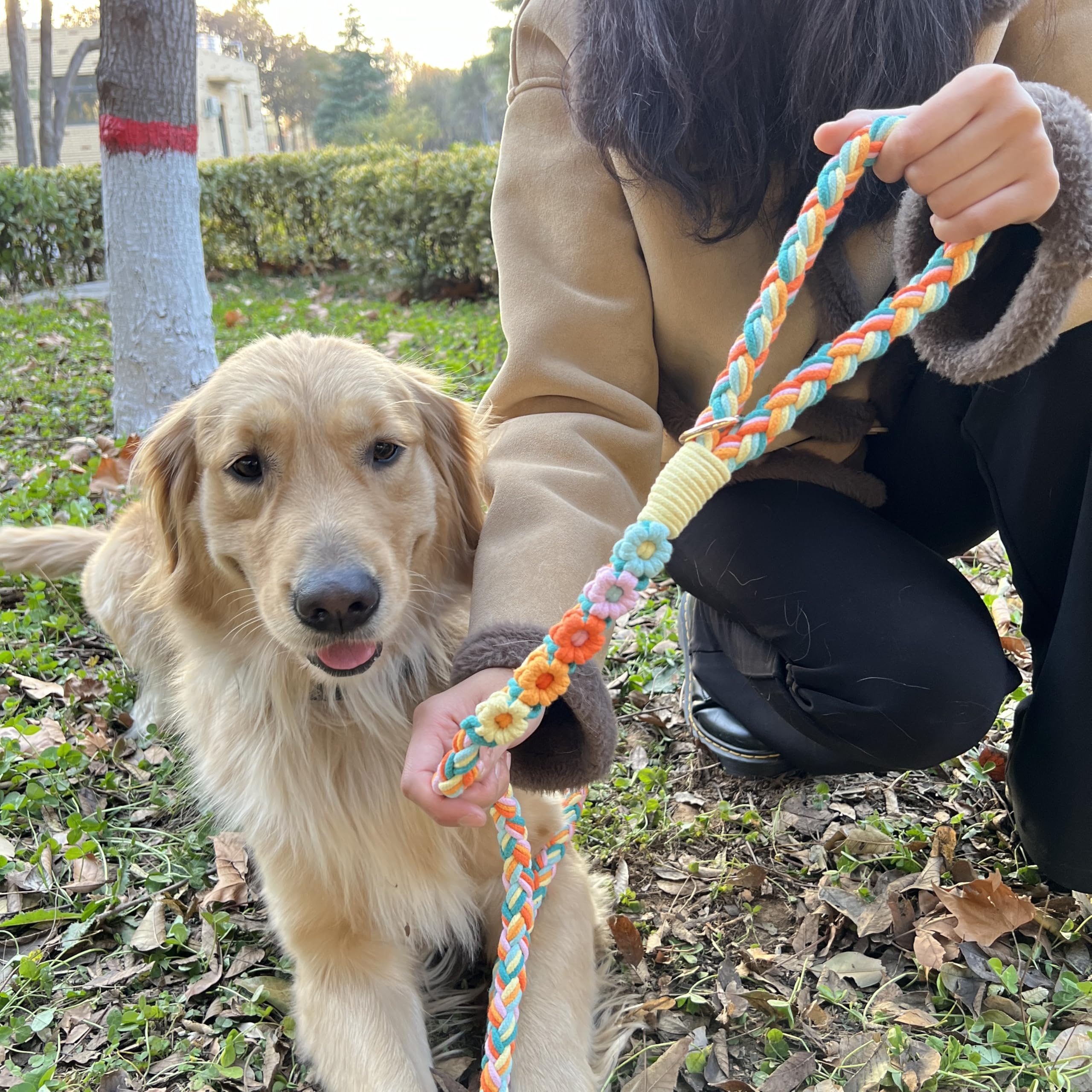 Handmade 5Ft Braided Cotton Dog Leash With Unique Floral Handle, Durable And Stylish, Ideal For Small To Large Dogs,Rainbow Mix