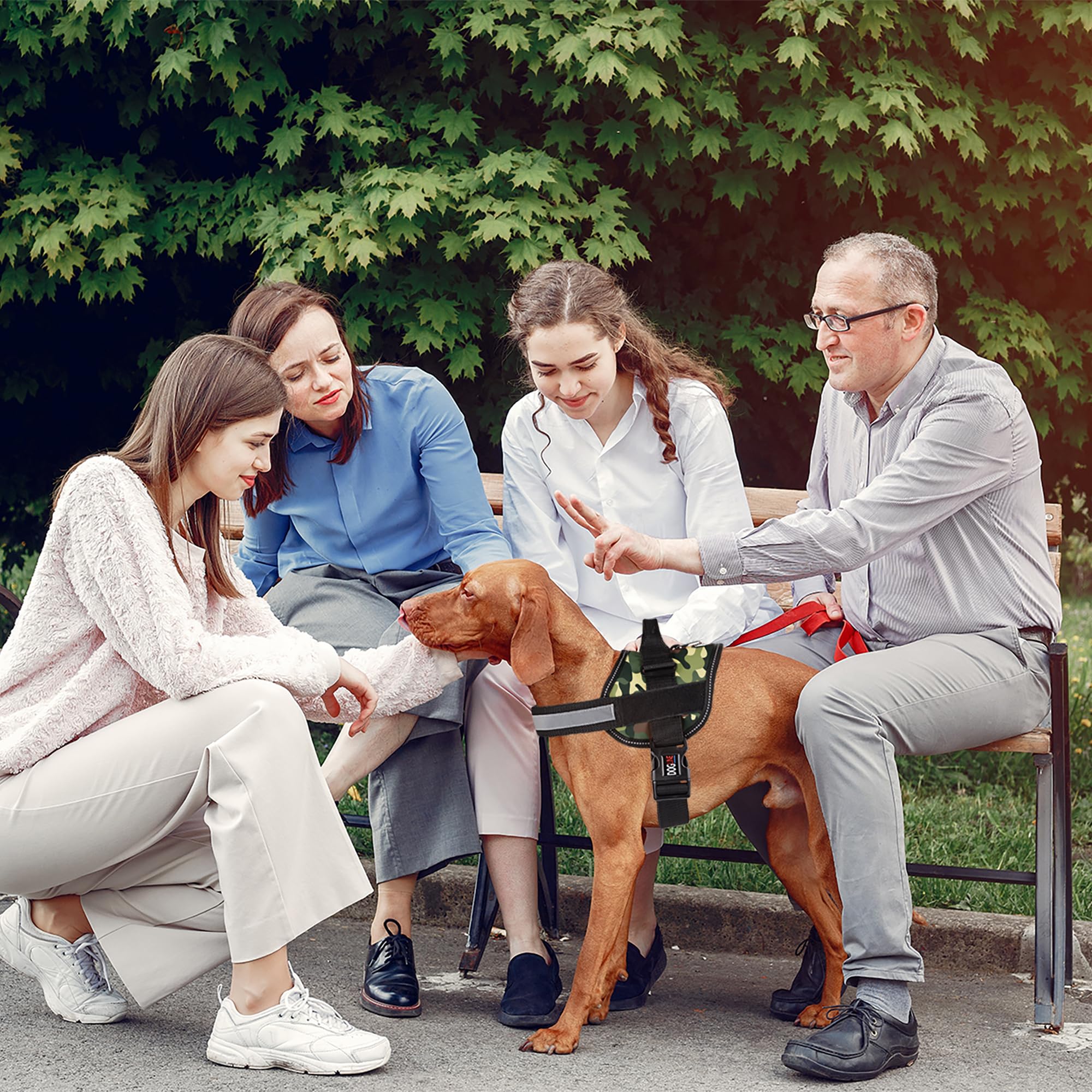 Dogline Dog Harness, Reflective No-Pull Adjustable Vest With Handle For Walking, Training, Breathable, No - Choke Harness For Small, Medium Or Large Dogs Room For Patches Girth 22'-28' In Green Camo