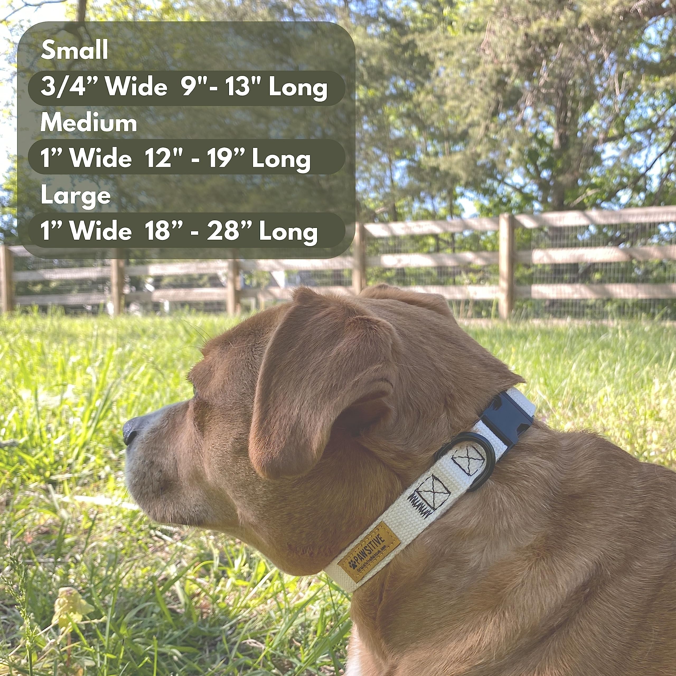 Gracie To The Rescue Pawsitive Hemp Dog Collar - Medium Yellow - Super Soft Hypoallergenic Lining for Small, Medium, and Large Dogs