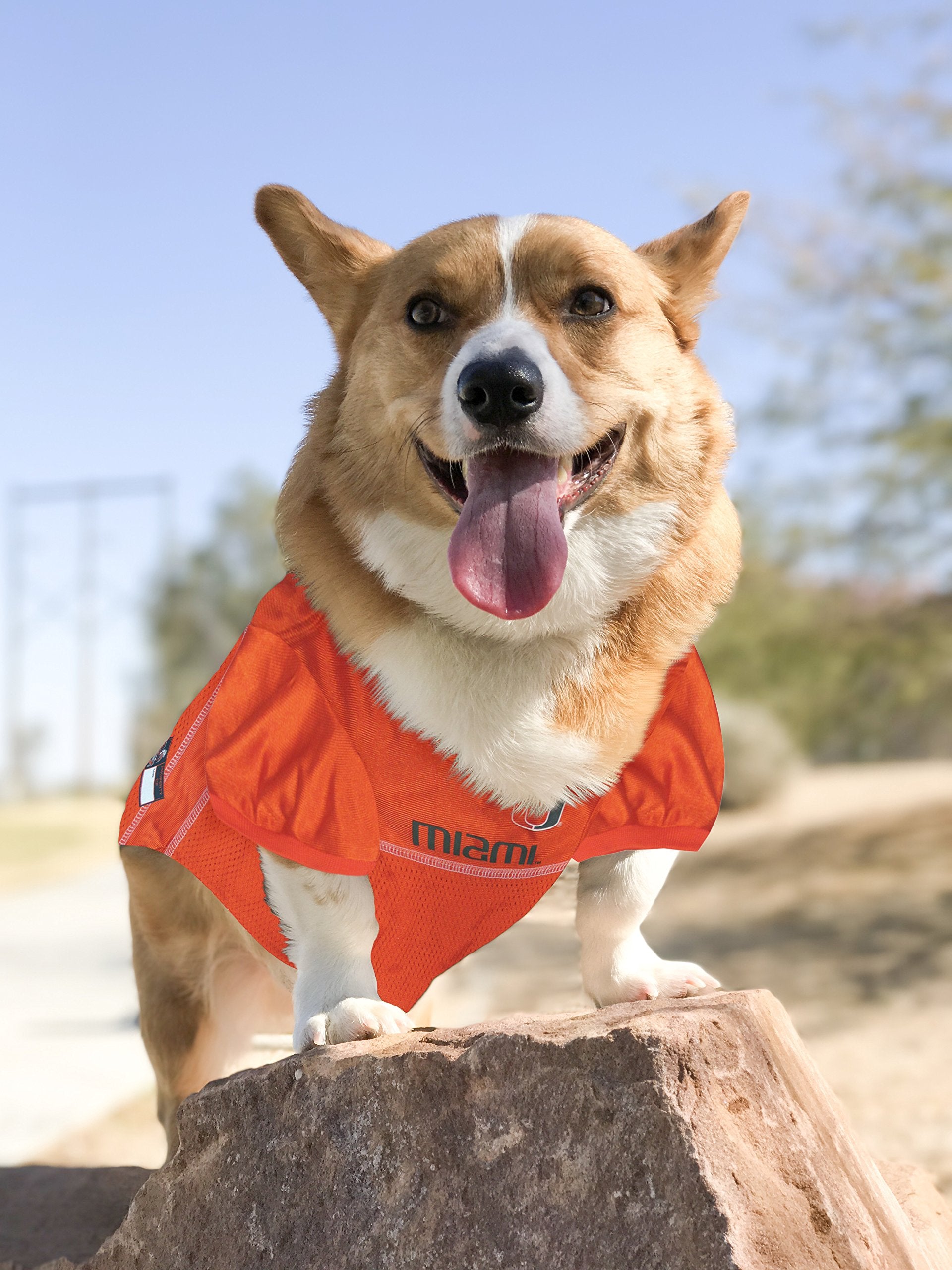 Pets First NCAA College Miami Hurricanes Mesh Jersey for DOGS & CATS, Large. Licensed Dog Jersey with your Favorite Football/Bas