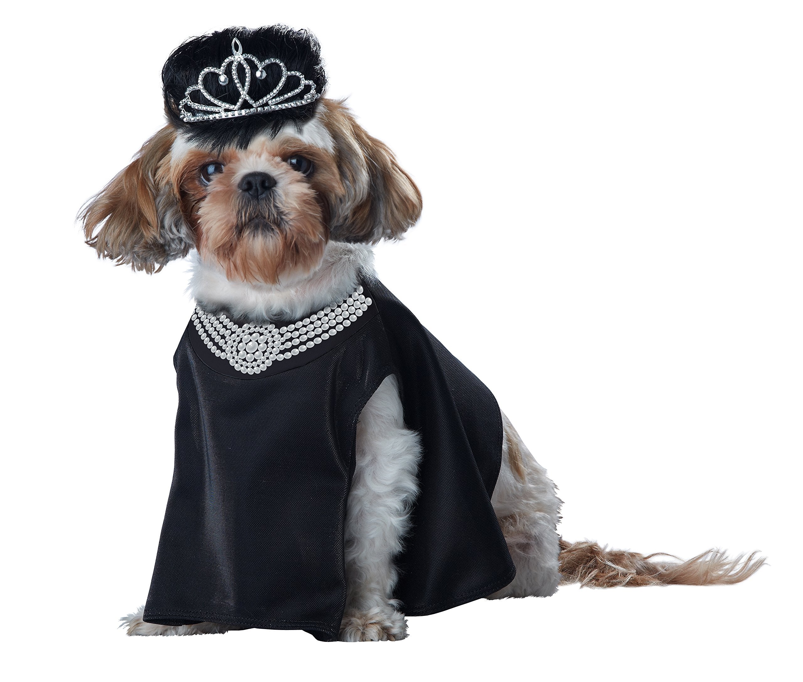 CALIFORNIA COSTUME COLLECTIONS Pet BARKFEST AT SNIFFANYS Dog Costumes, Black, Large US