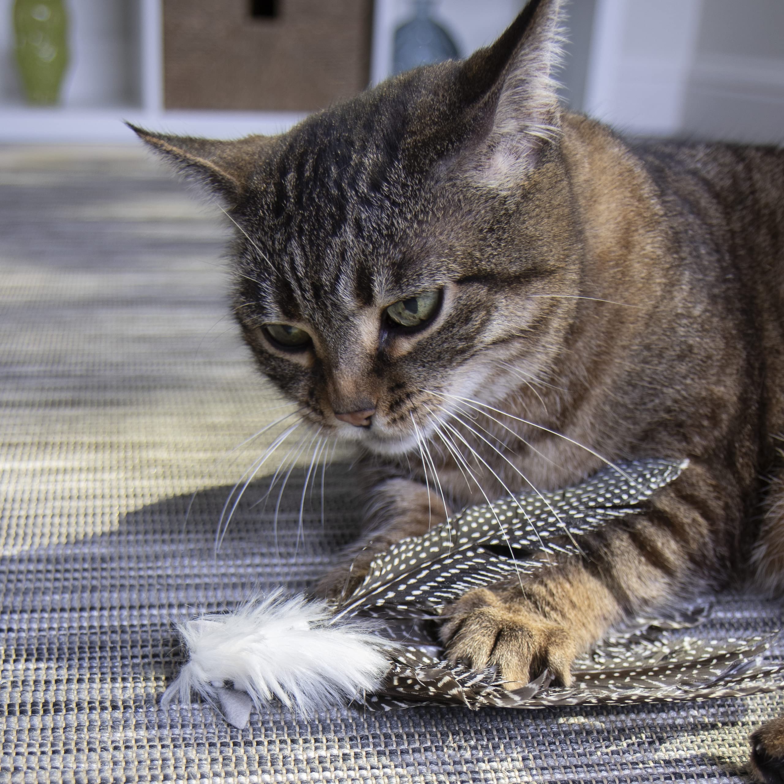 Petlinks Happynip Zippy Zebra Feather Cat Toy, Contains Silvervine & Catnip - Black/White, One Size