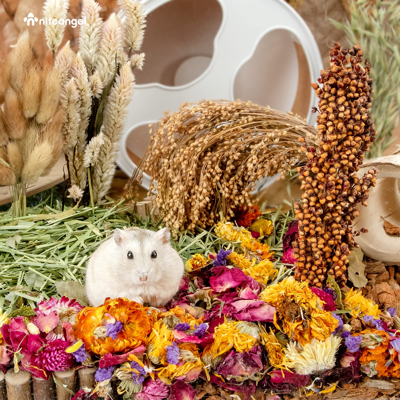 Niteangel Natural & Soft Hamster Bedding For Syrian Dwarf Hamsters Gerbils Mice Degus Bunny Or Other Small-Sized Pet (Flowers Scent Path)