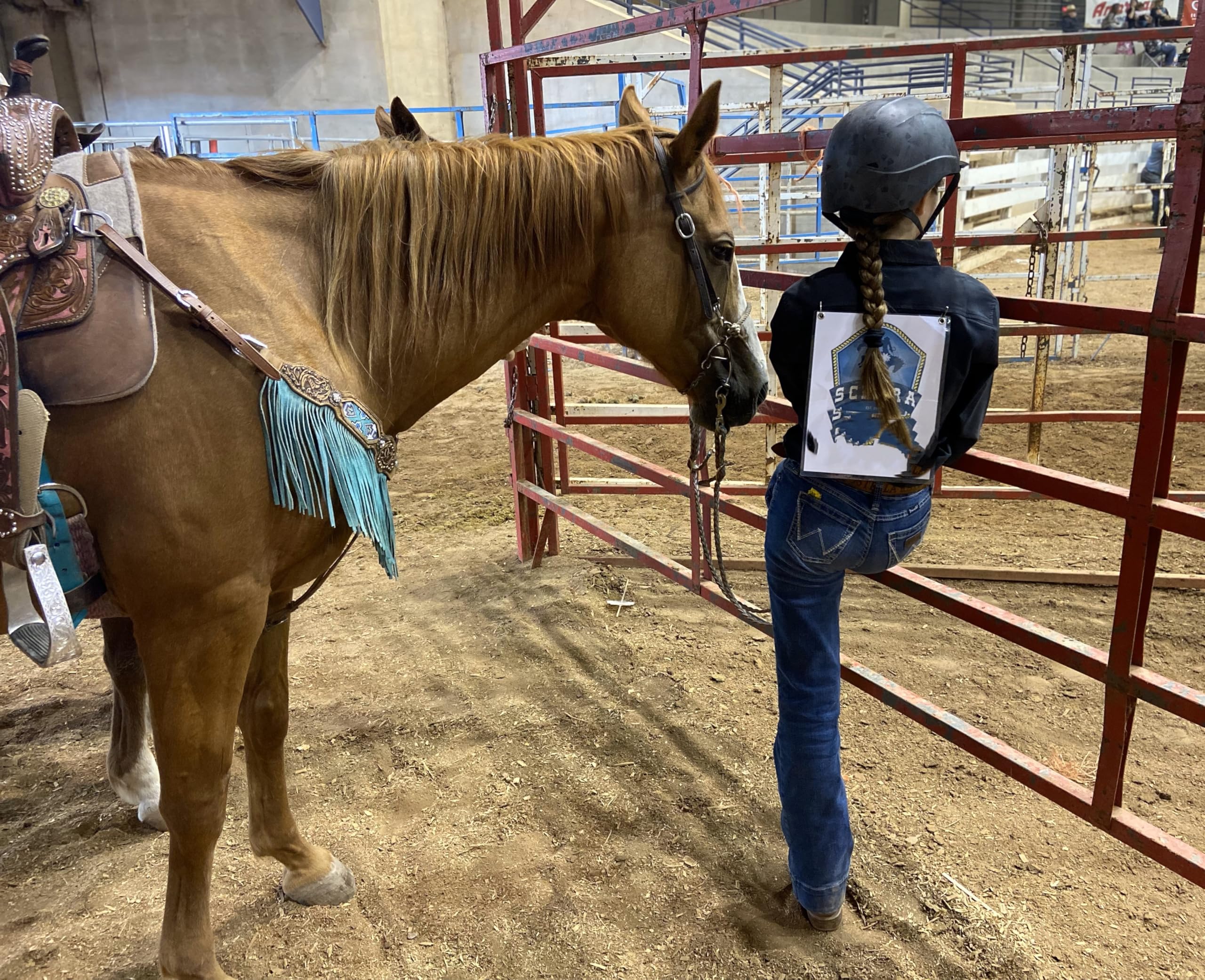 SynChill Oral Horse Calming Gel, 100% Natural & Nutritional Supplement, Lab Proven Results, Designed for Focus & Performance, Ap