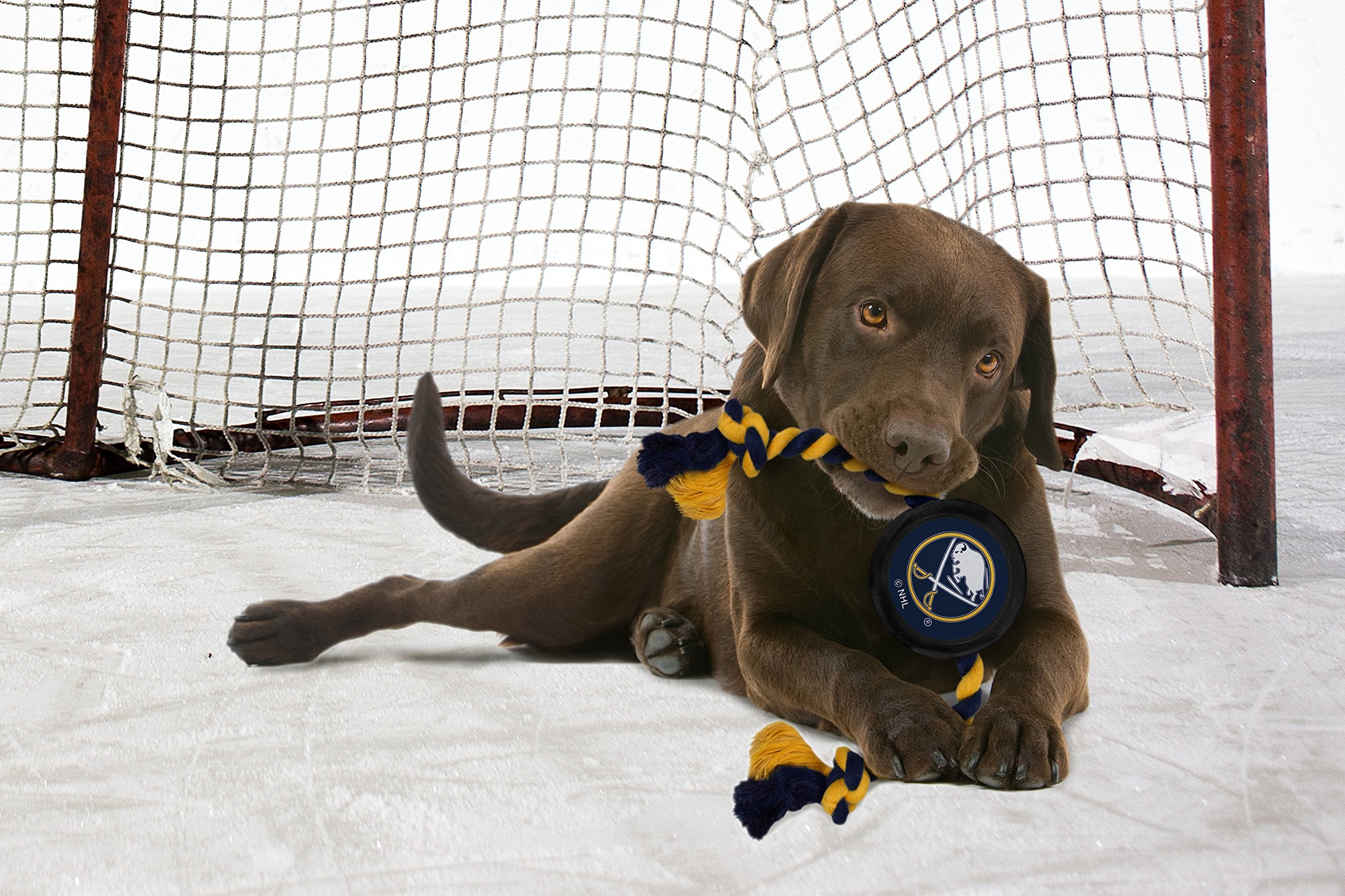 Pets First NHL Buffalo Sabres Puck Toy for Dogs & Cats. Play Hockey with Your Pet with This Licensed Dog Tough Toy Reward!