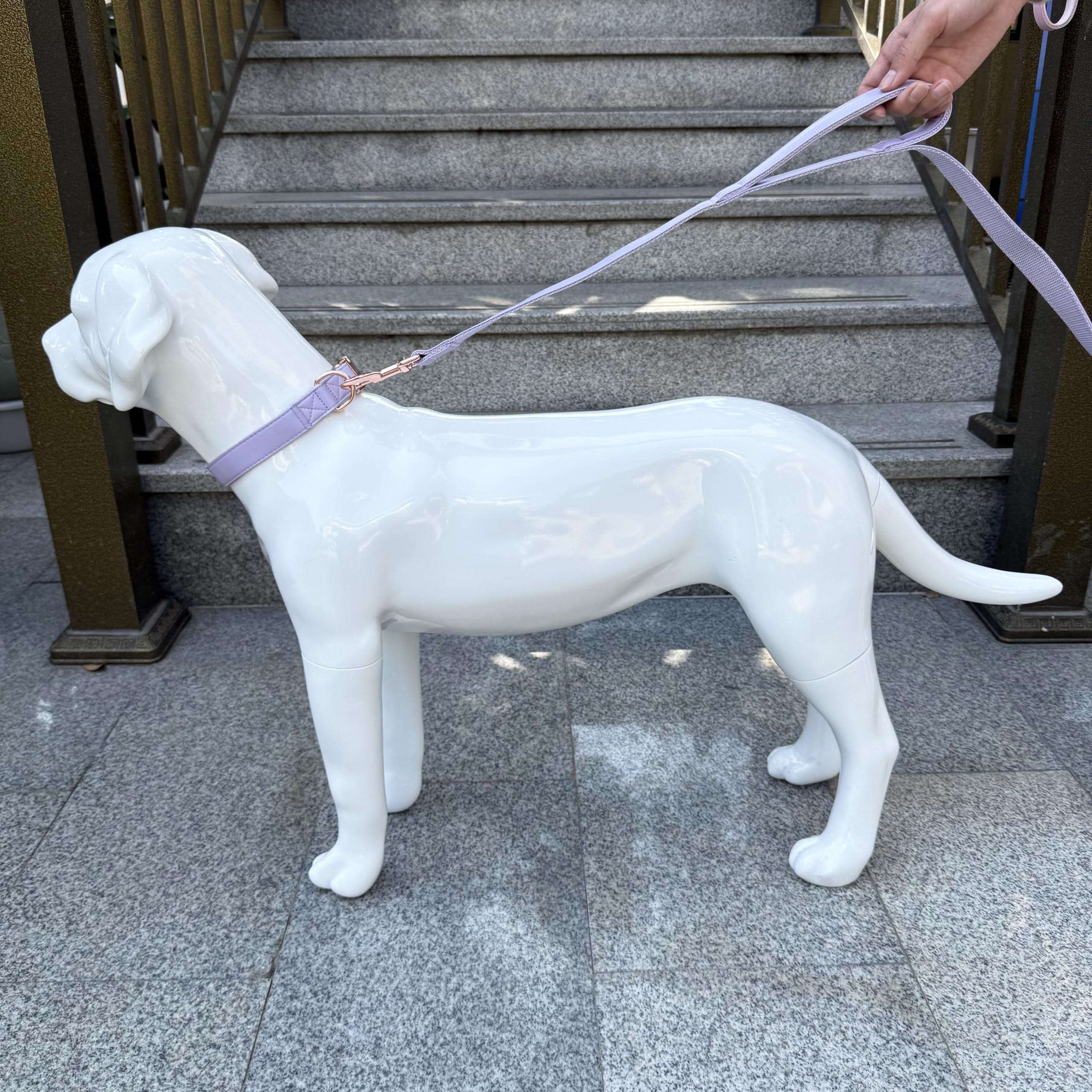 Dog Leash 6Ft Long,Traffic Padded Two Handle,Heavy Duty,Double Handles Lead For Control Safety Training,Leashes For Large Dogs O