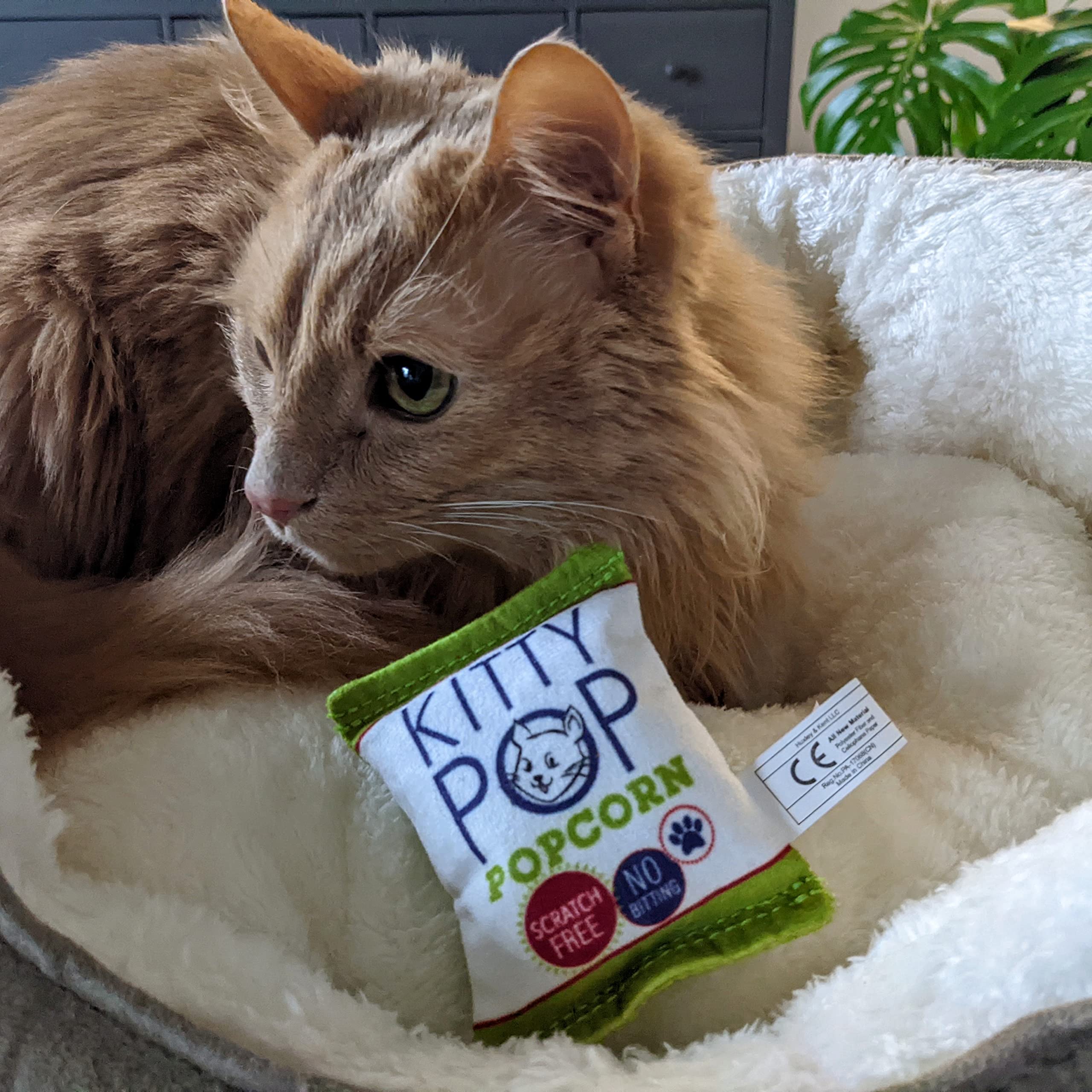 Huxley & Kent Plush Cat Toy - Kitty Pop - Snack Attack Strong Catnip Filled - Plush Interactive Kitten And Cat Toy With Catnip A