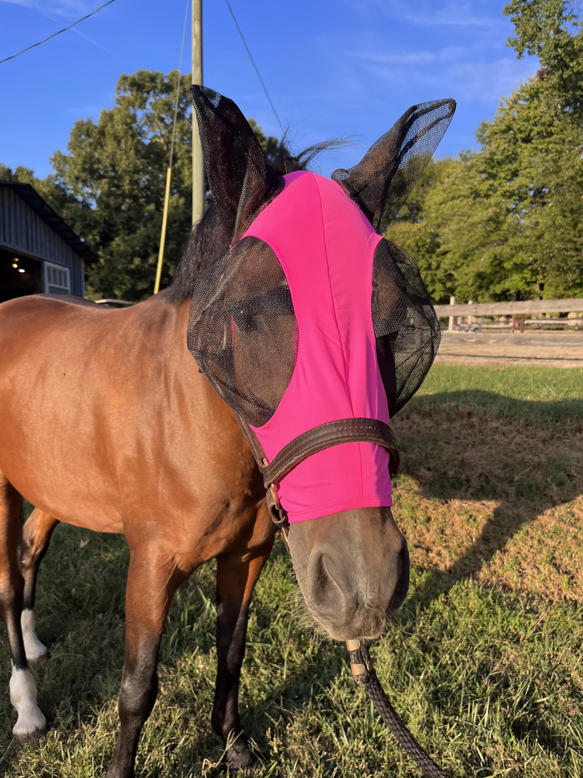 Stretchy Horse Fly Mask with Ears Comfort Fit Mesh Trail Pasture Sun UV Protection (Arab/Cob/Small Quarter, Pink)