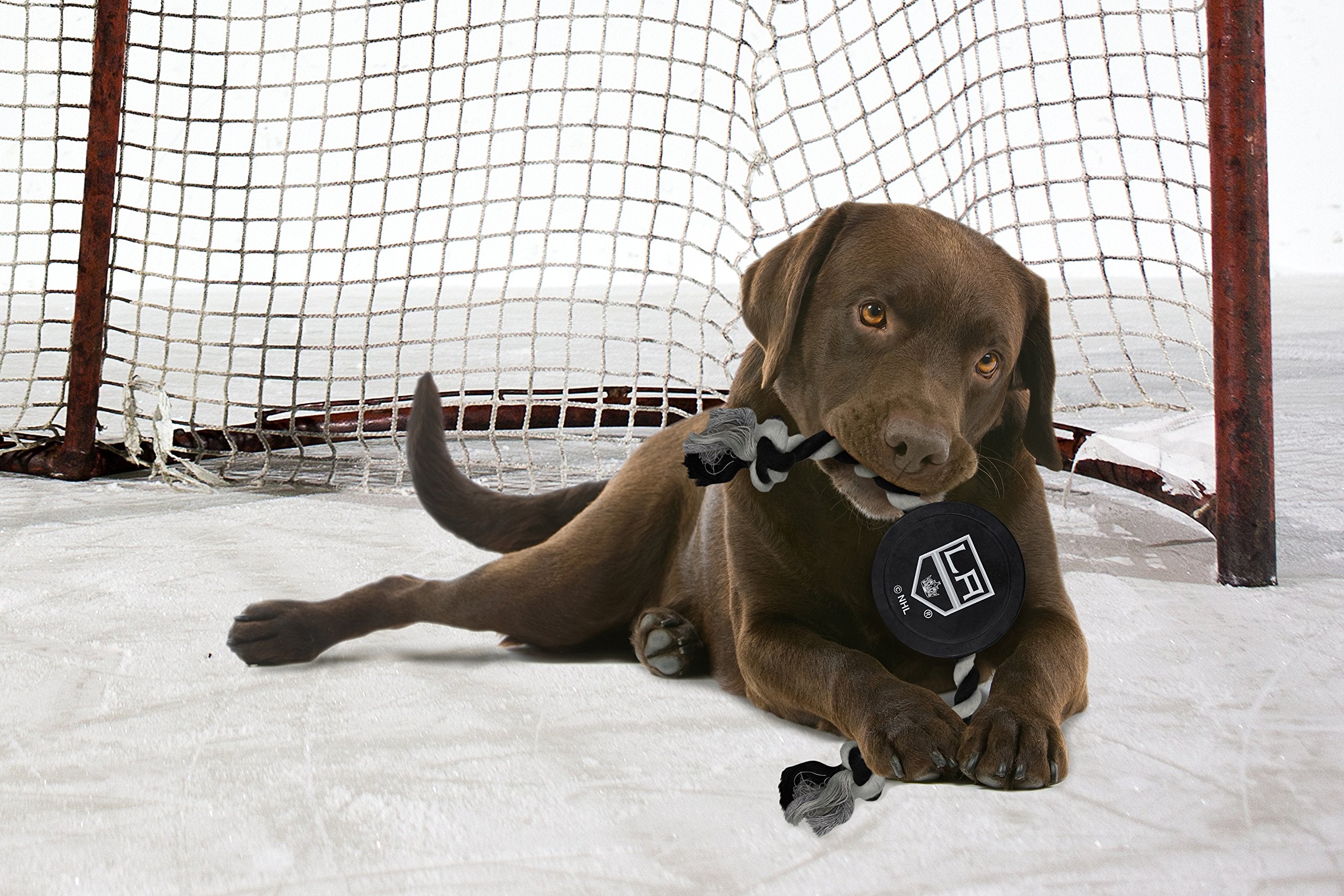 Pets First Nhl Los Angeles Kings Puck Toy For Dogs & Cats. Play Hockey With Your Pet With This Licensed Dog Tough Toy Reward!