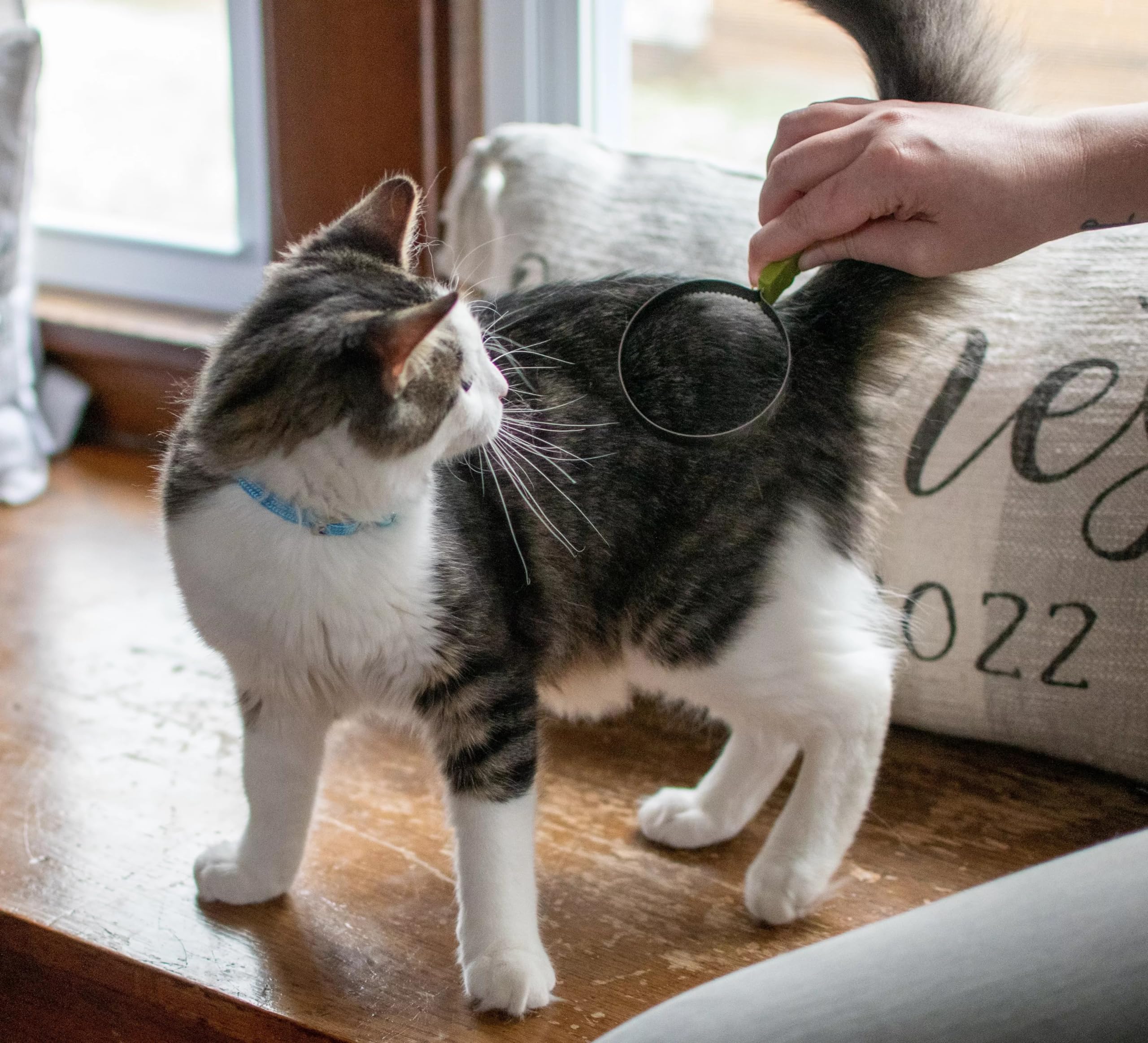 Coastal Pet Stainless Steel Safari Cat Shedding Blade - Cat Hair Removal Brush - Pet Grooming Tool To Prevent Hairballs - 7.5' X 3'