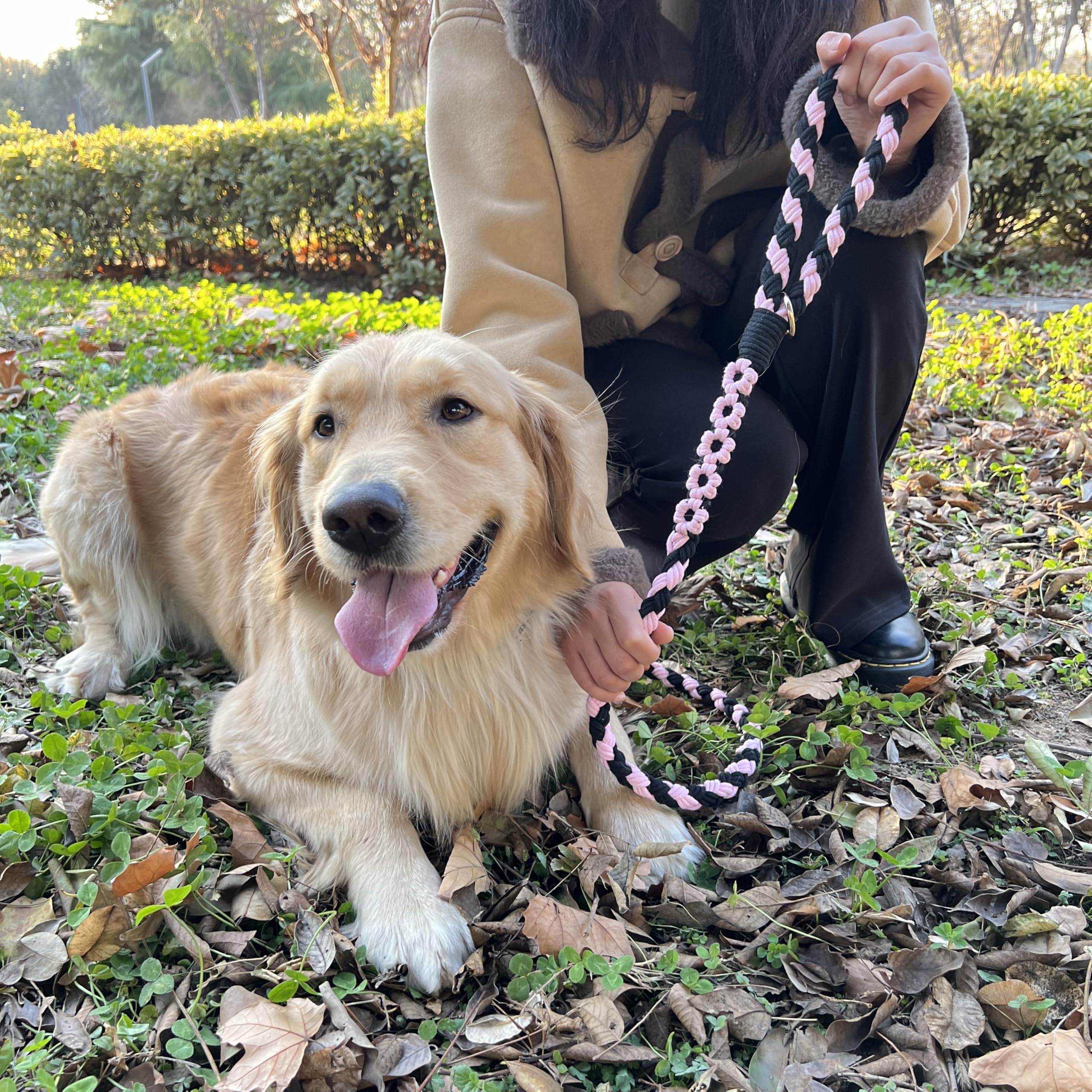 Handmade 5Ft Braided Cotton Dog Leash With Unique Floral Handle, Durable And Stylish, Ideal For Small To Large Dogs, Black & Pin