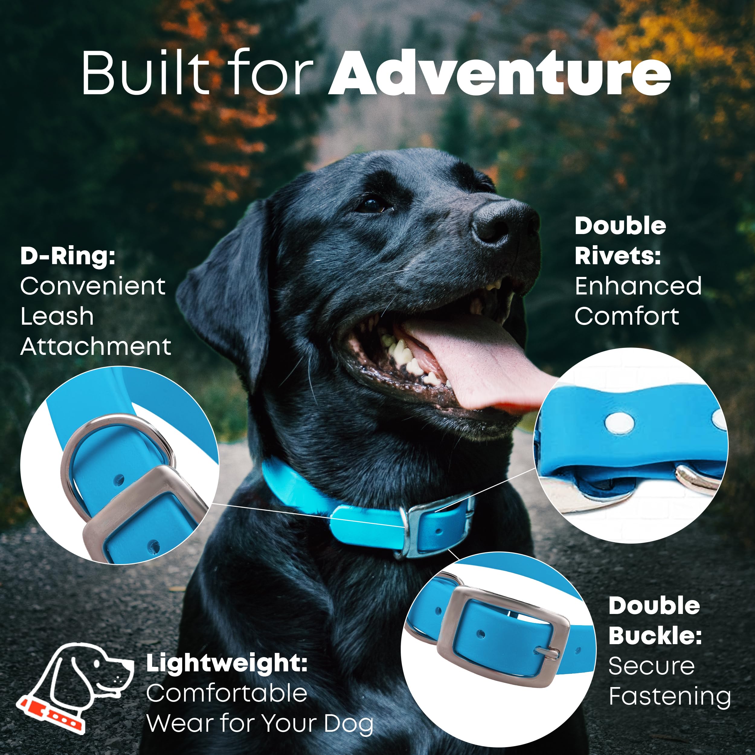 Regal Dog Products Large Light Blue Dog Collar with Heavy Duty Double Buckle & D Ring | Vinyl Coated, Custom Fit, Adjustable Bio