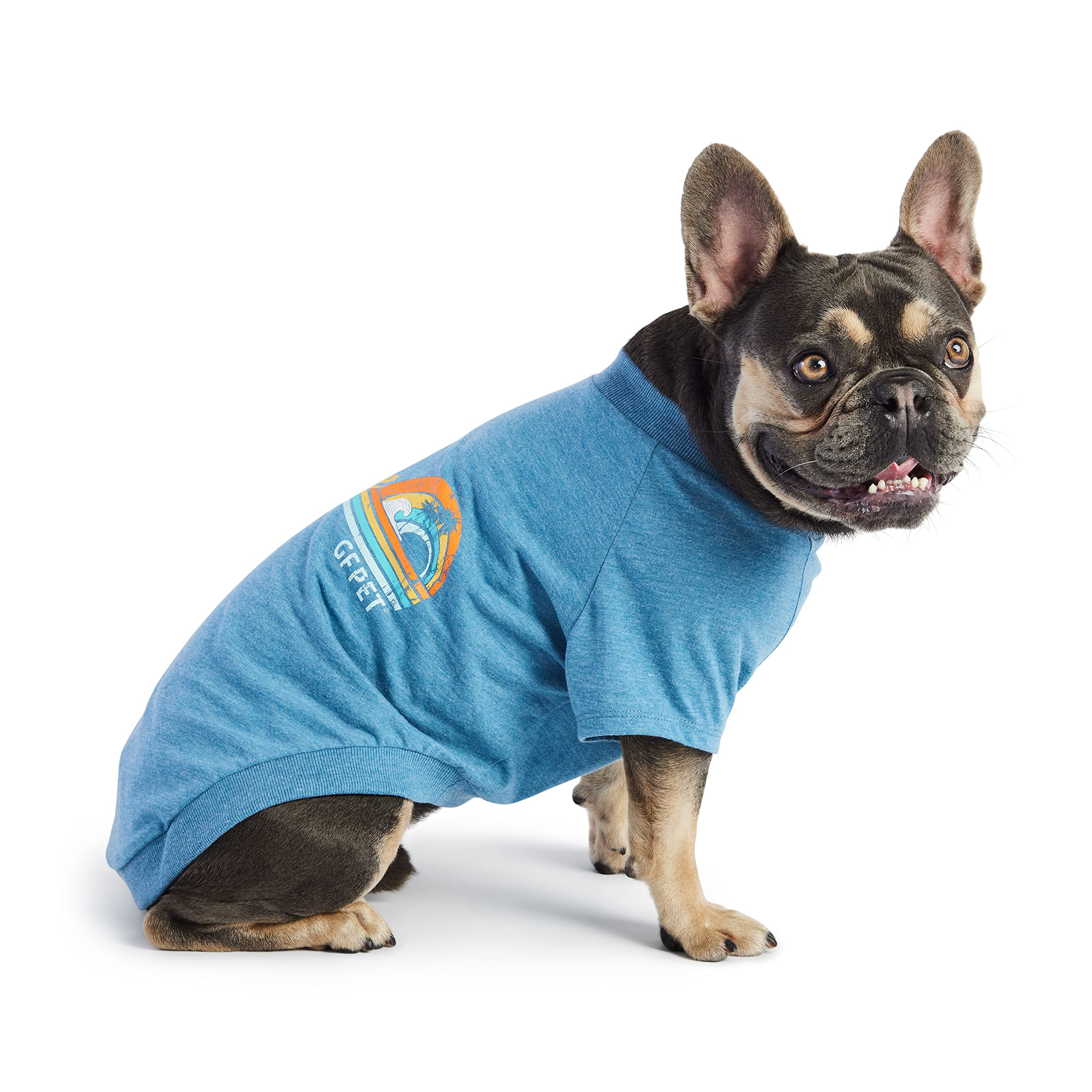 Gf Pet - Graphic Tee Dog T-Shirt (Heather Blue, Xxx-Large)