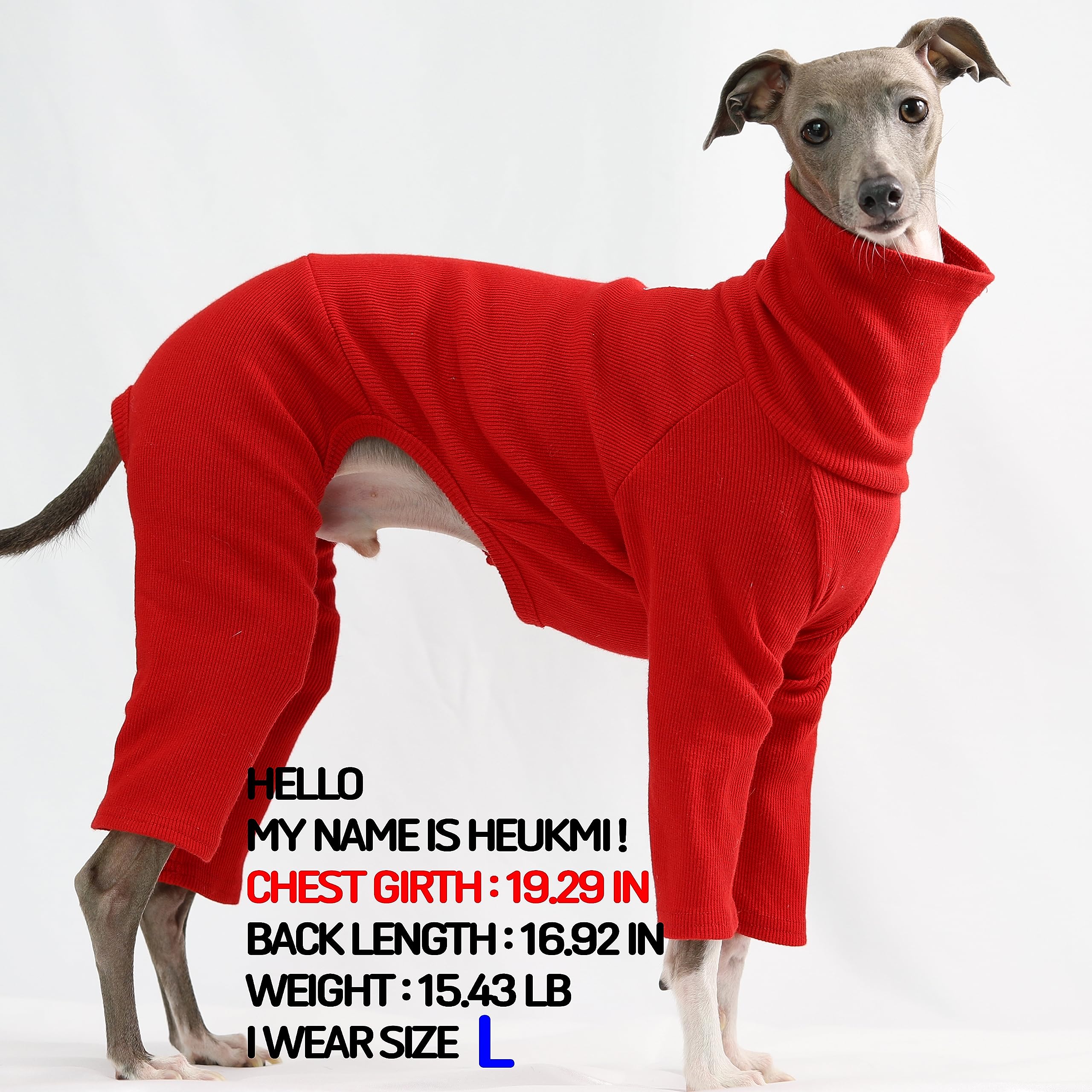 D Doggy Star Italian Greyhound Clothes Stretchable Onesie Whippet For Dog (2Xl,Ribbed Red)