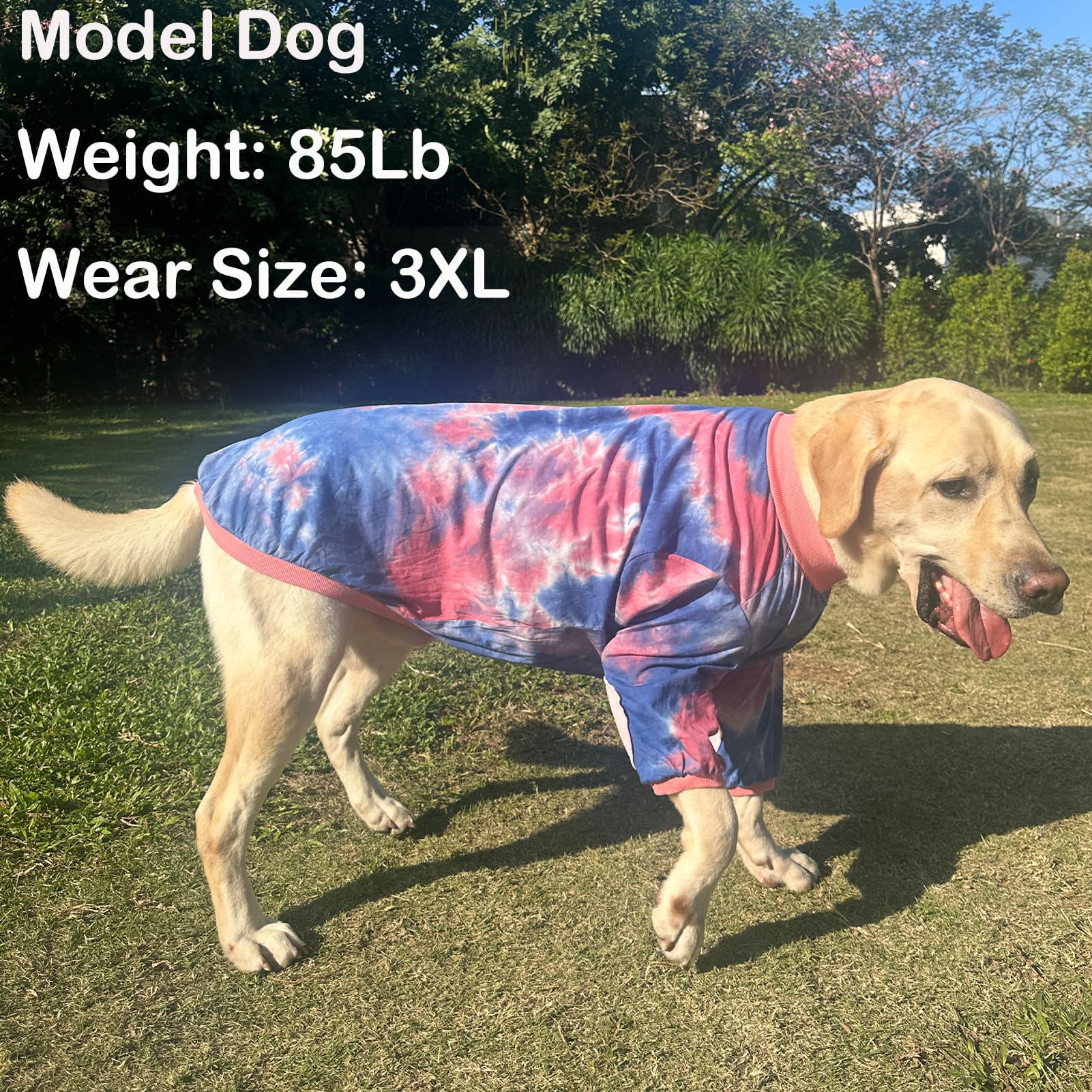 Pripre Dog Cotton Pink Blue T-Shirts Soft And Stretchy Dog Shirt Pajamas Pets Clothes For Large Dogs(Large Pinkblue)