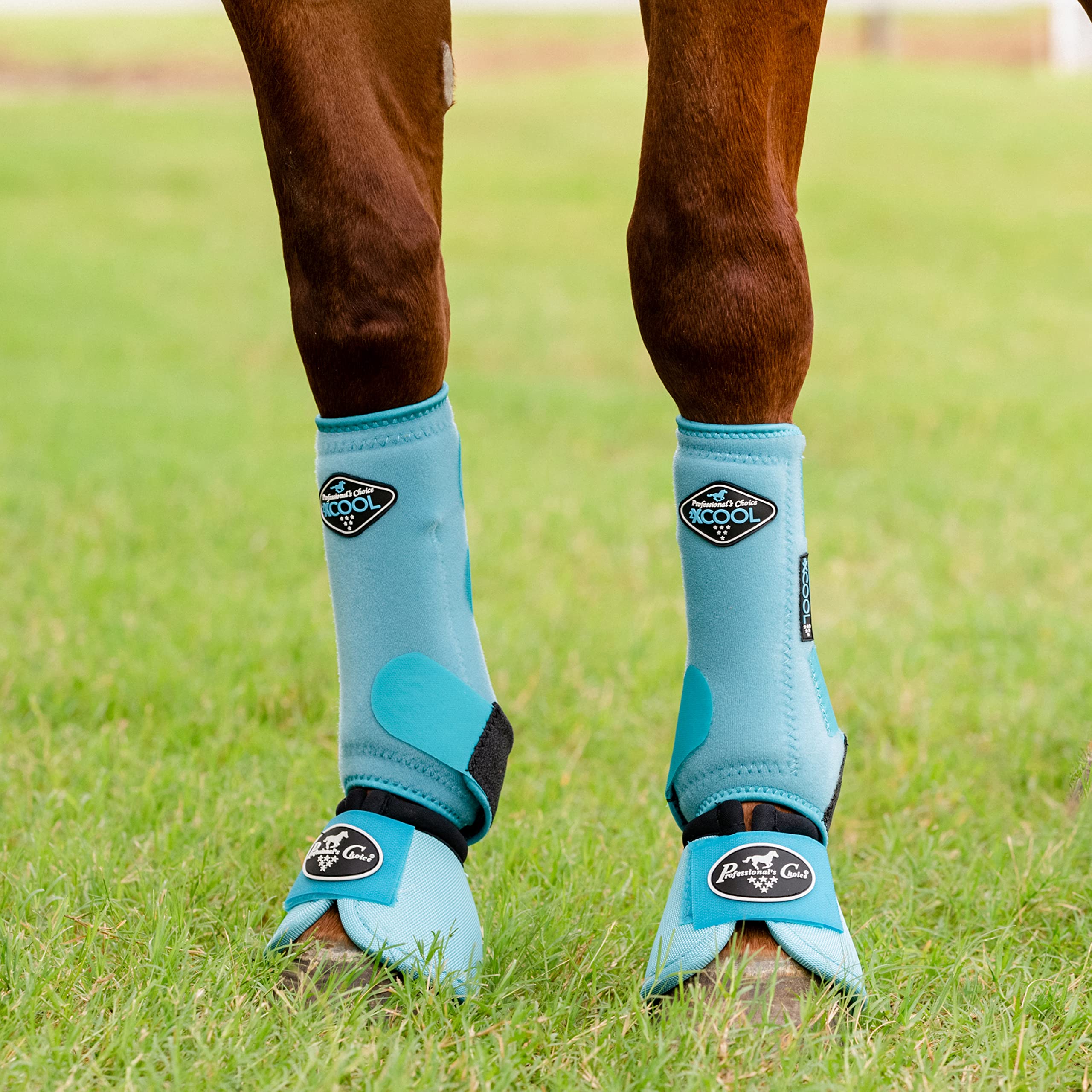 Professional'S Choice 2Xcool Sports Medicine Horse Boots | Protective & Breathable Design For Ultimate Comfort, Durability & Cooling In Active Horses | 2 Pack (Turquoise, Medium)