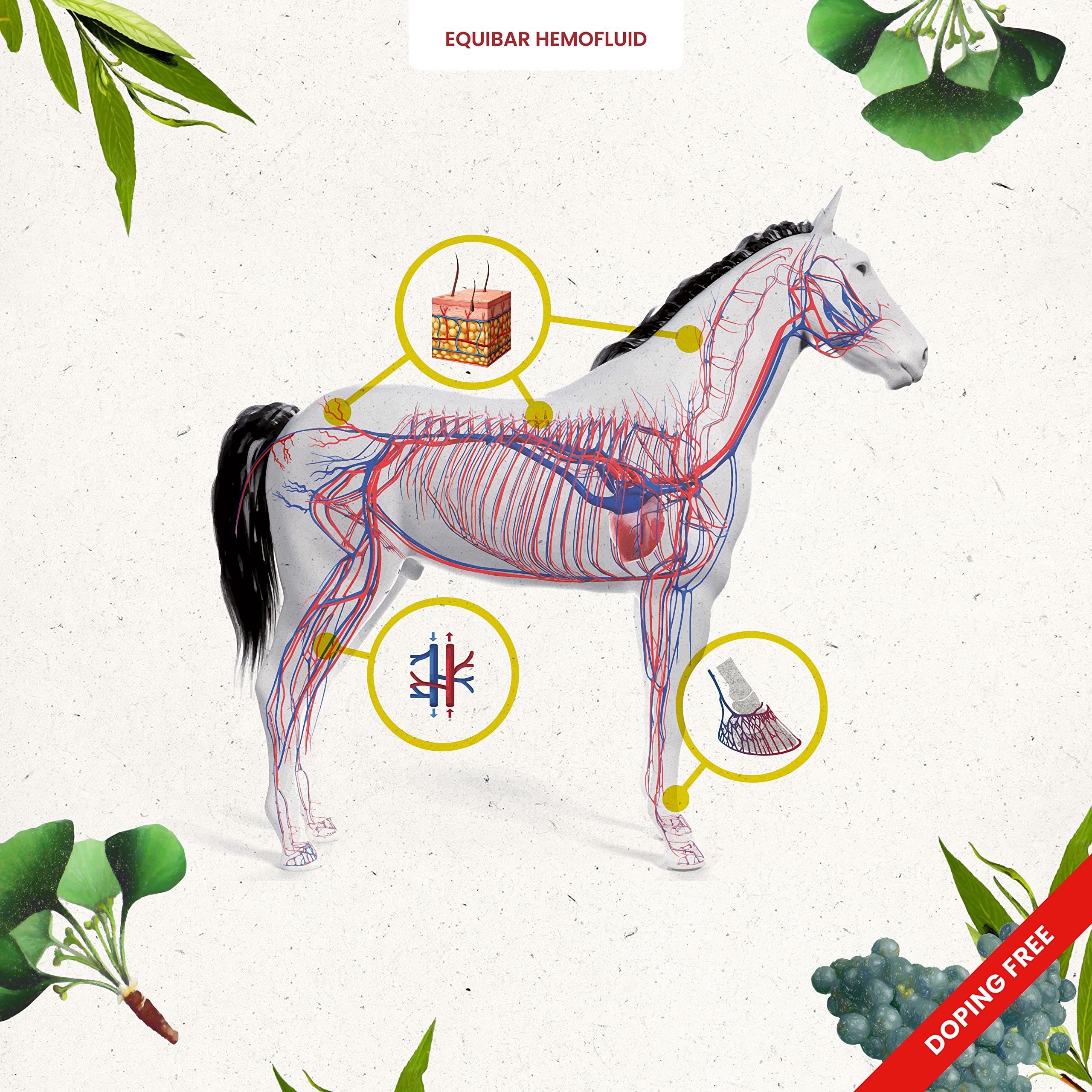 EQUIBAR Hemofluid: All-Natural Nutrition bar for All Classes of Horses to Support microcirculation, Dermatitis and Insect or Bug