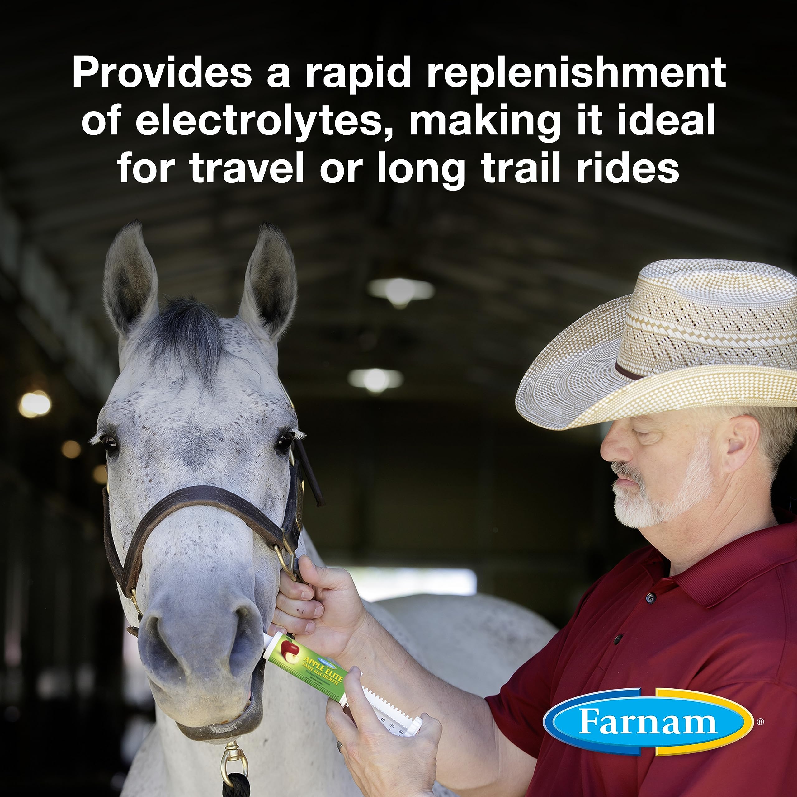 Farnam Apple Elite Horse Electrolyte Paste, Rapid replenisment of minerals lost in sweat during exercise, extreme weather and st