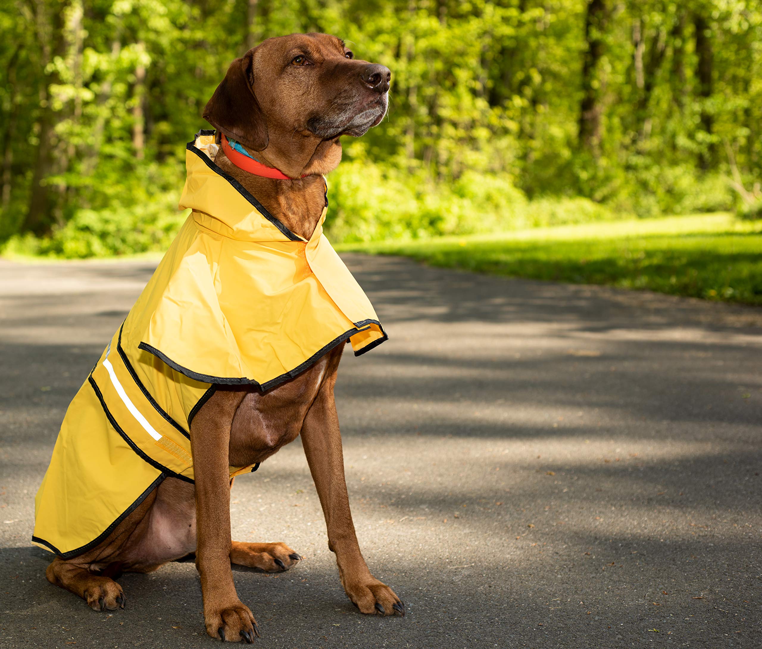 SWT SM YELLOW RAIN SLICKER 560YSM