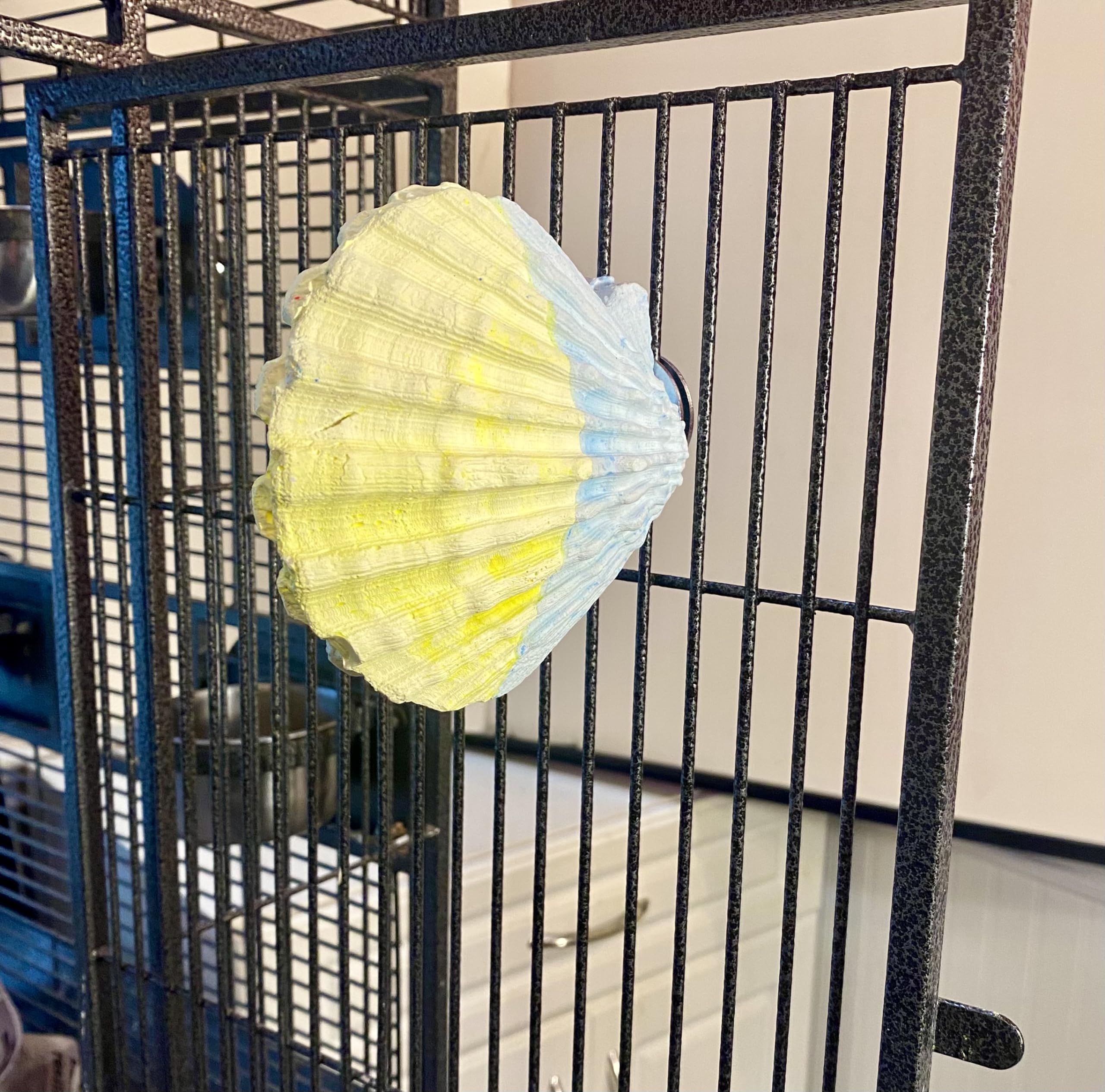 Polly'S Comfy Clam Parrot Cage Flat Bird Perch For Macaws, Parakeets, Cockatiels, African Greys, Amazons And More (Blue/Yellow, Small)