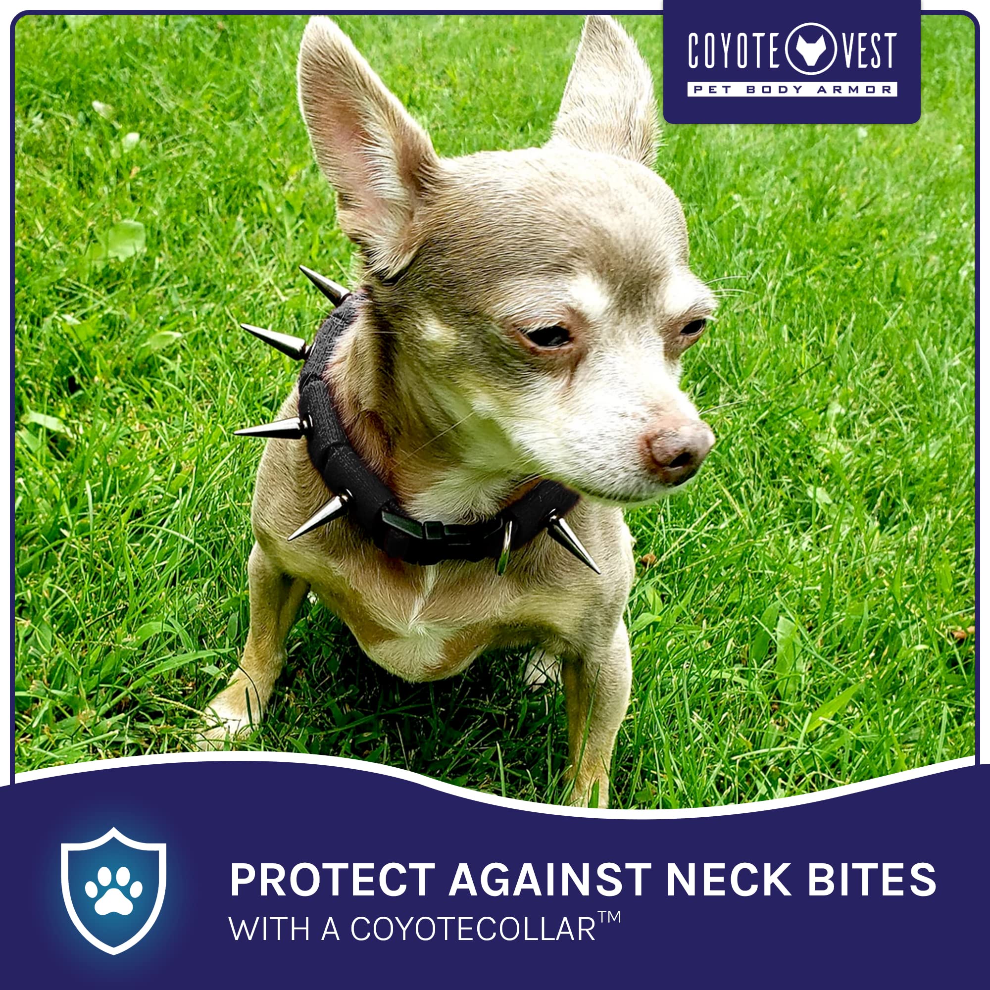 Coyotecollar Spiked Dog Collar - Small Black Spike Collar, Adjustable, Studded, Protection Against Coyotes And Aggressive Dogs