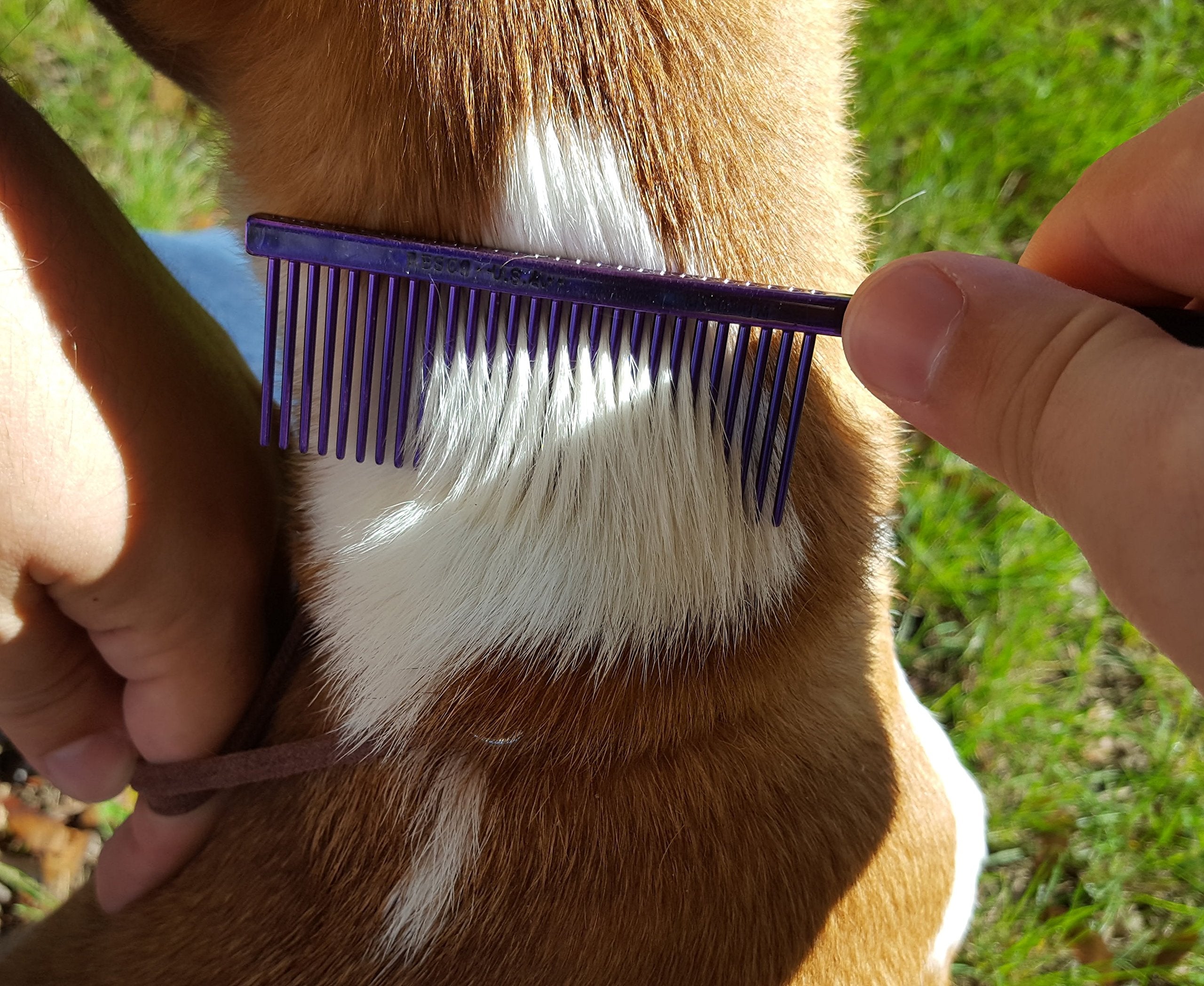 Resco Professional Anti-Static Dog, Cat, Pet Comb For Grooming, Steel Pins, Fine Tooth Spacing
