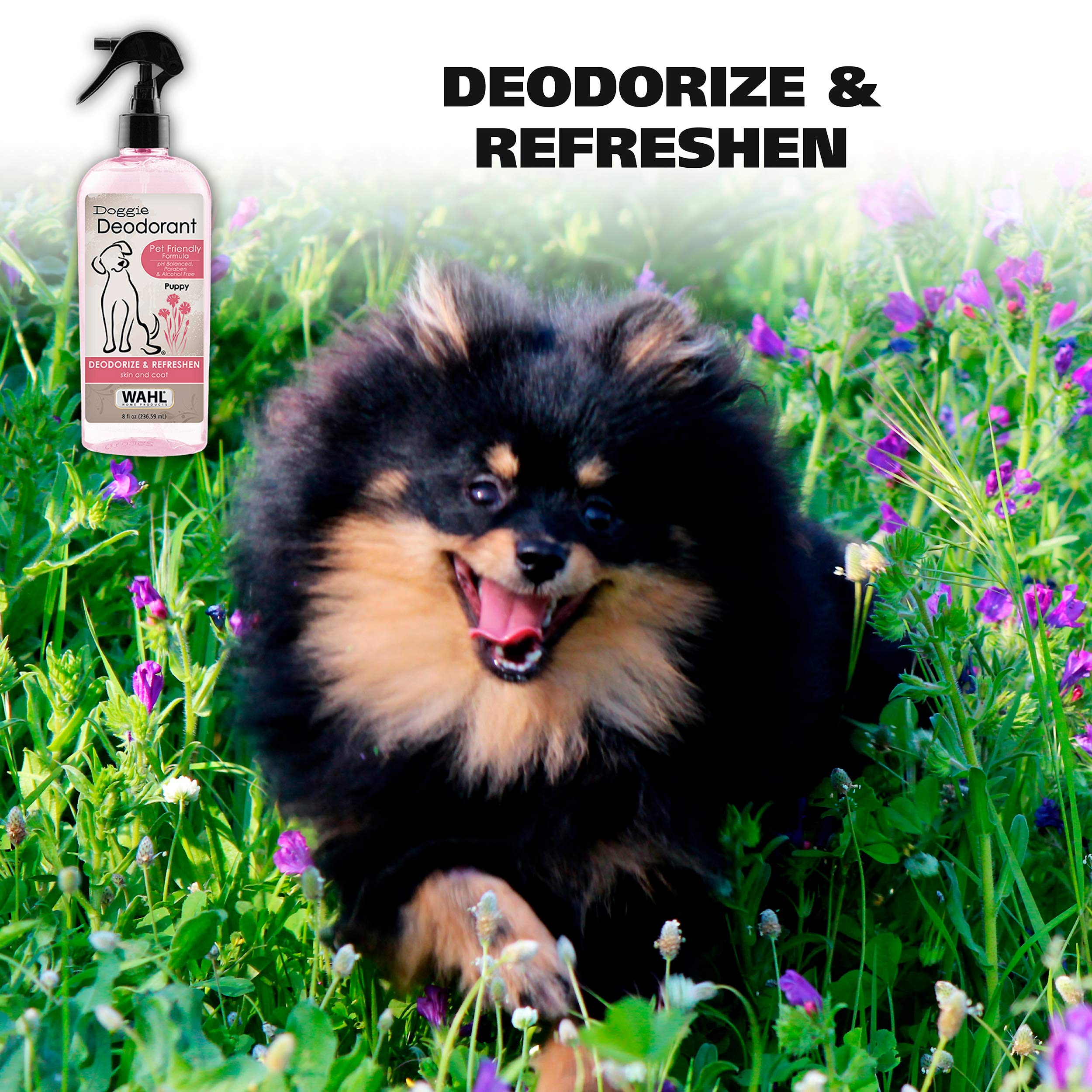 Wahl Usa Cornflower Aloe Pet Deodorant Spray For All Dogs & Cats – Clean Fresh Smell Refreshes & Deodorizes – 8 Oz - Model 820009A