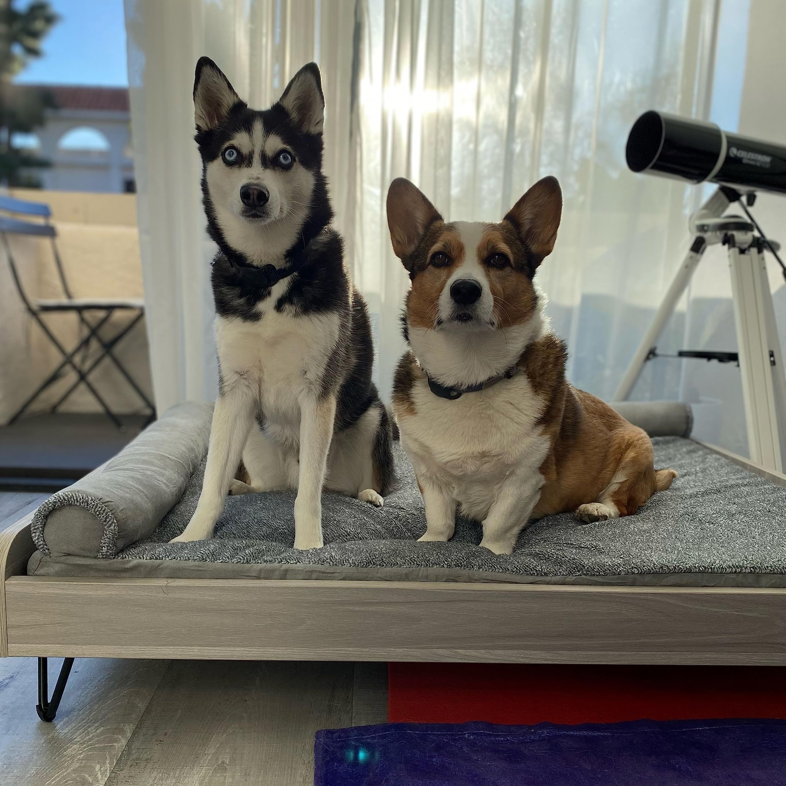 Wooden Dog Bed With Water Resistant Mattress, Large To Extra Large Elevated Pet Bed With Calming Mattress, Greenguard Gold Certi