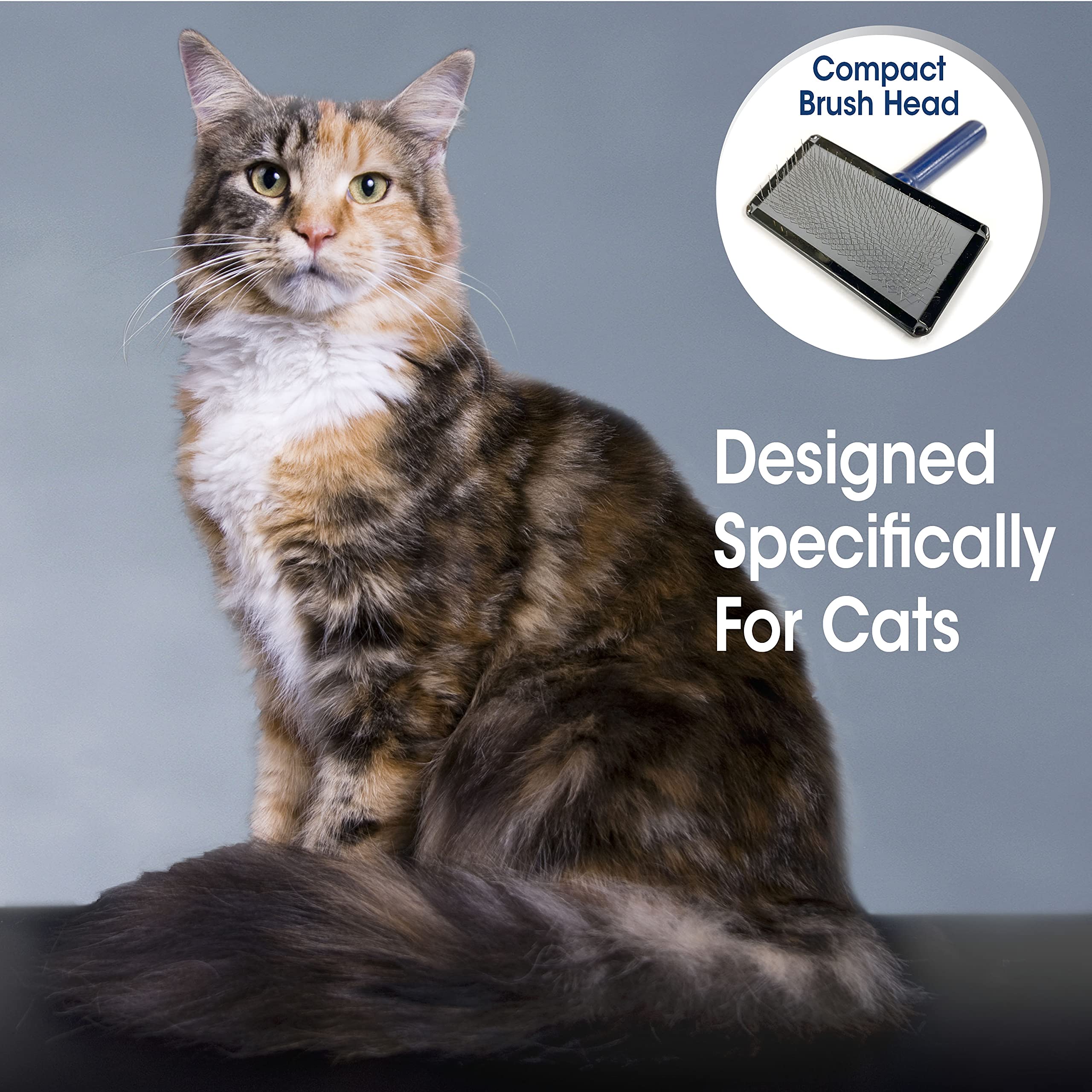 Four Paws Magic Coat Professional Series Cat Slicker Brush for Medium or Long Coats - Gently Removes Excess Hair, Stimulates Nat