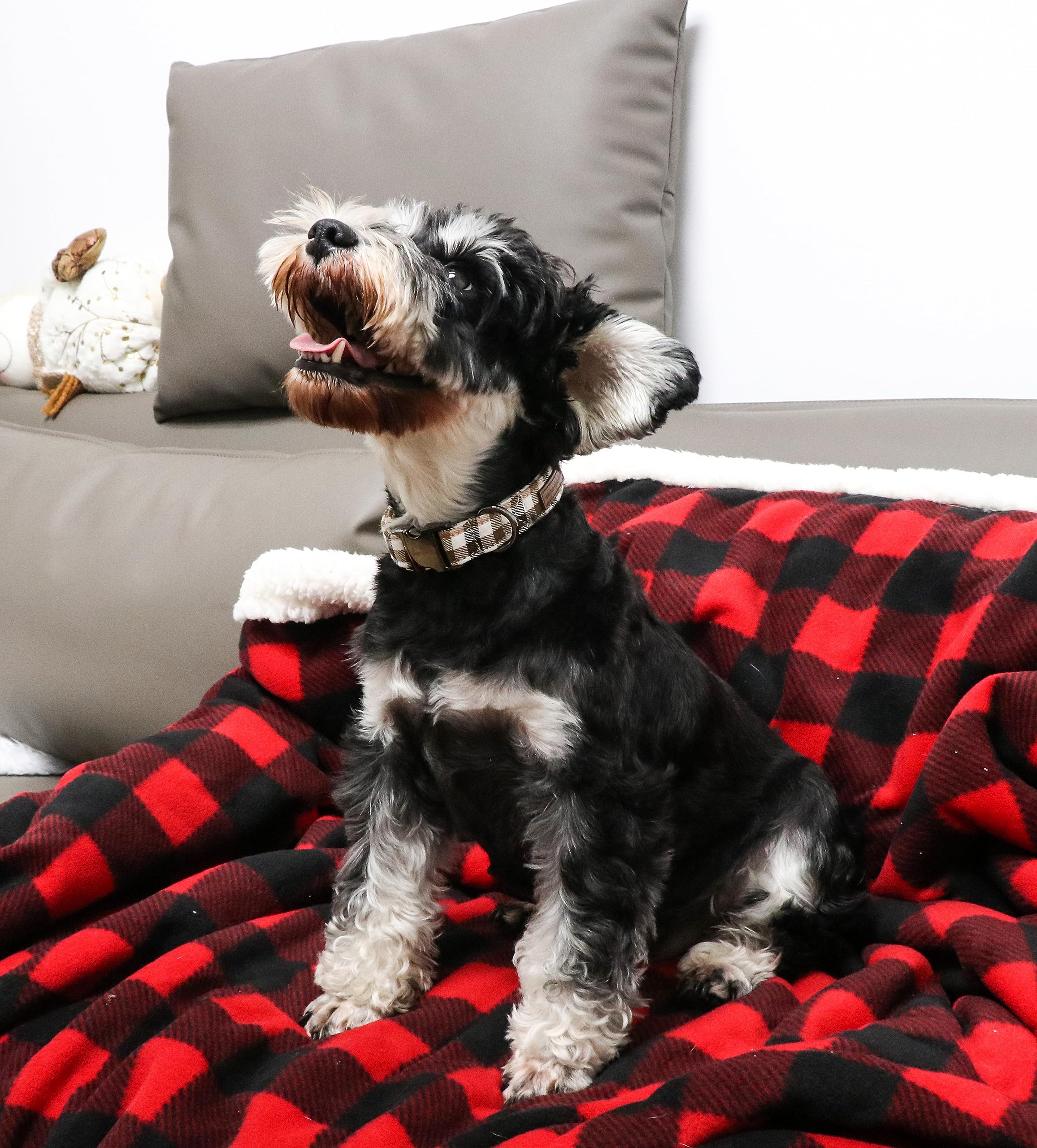 Unique Style Paws Dog Collar Metal Buckle Brown Plaid Collar Gift Durable Cute Collar For Small Medium Large Boys Girls Dogs