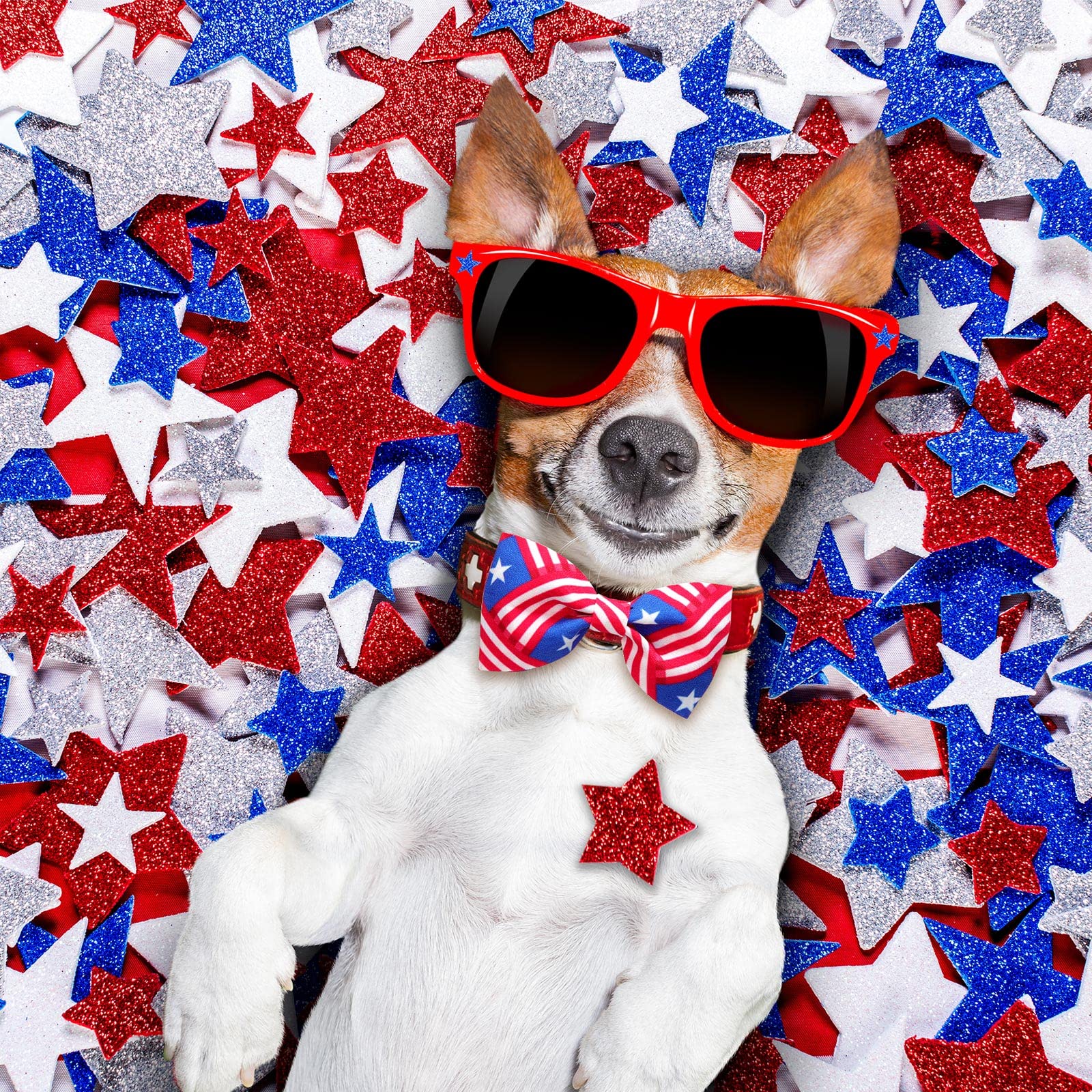 16 Pcs 4Th Of July Summer Pet Bow Tie Collar Attachment, American Flag Dog Bow Ties Patriotic Dog Collar Attachment For Labor Da