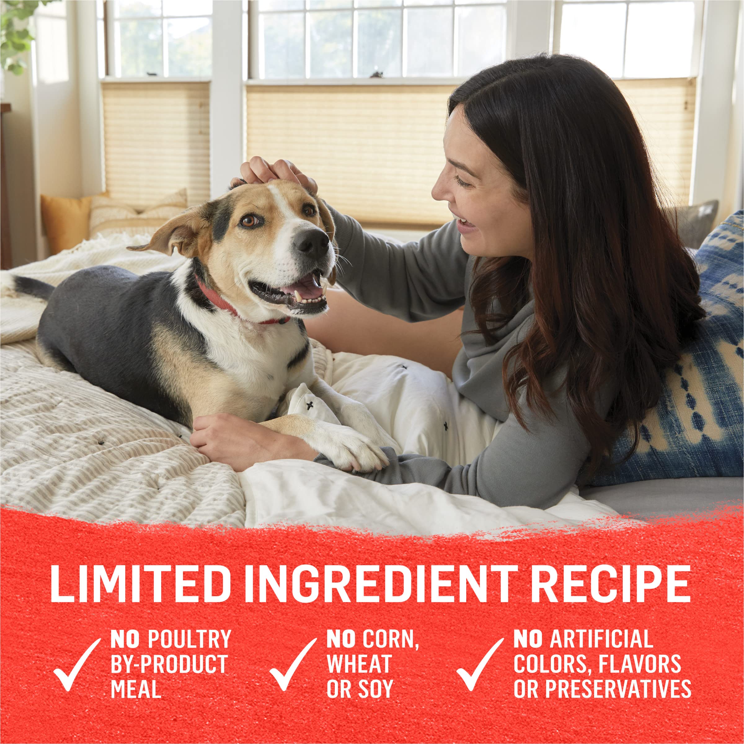 Purina Beyond Beef, Potato, and Green Bean Grain Free Wet Dog Food Natural Pate with Added Vitamins and Minerals - (Pack of 12)