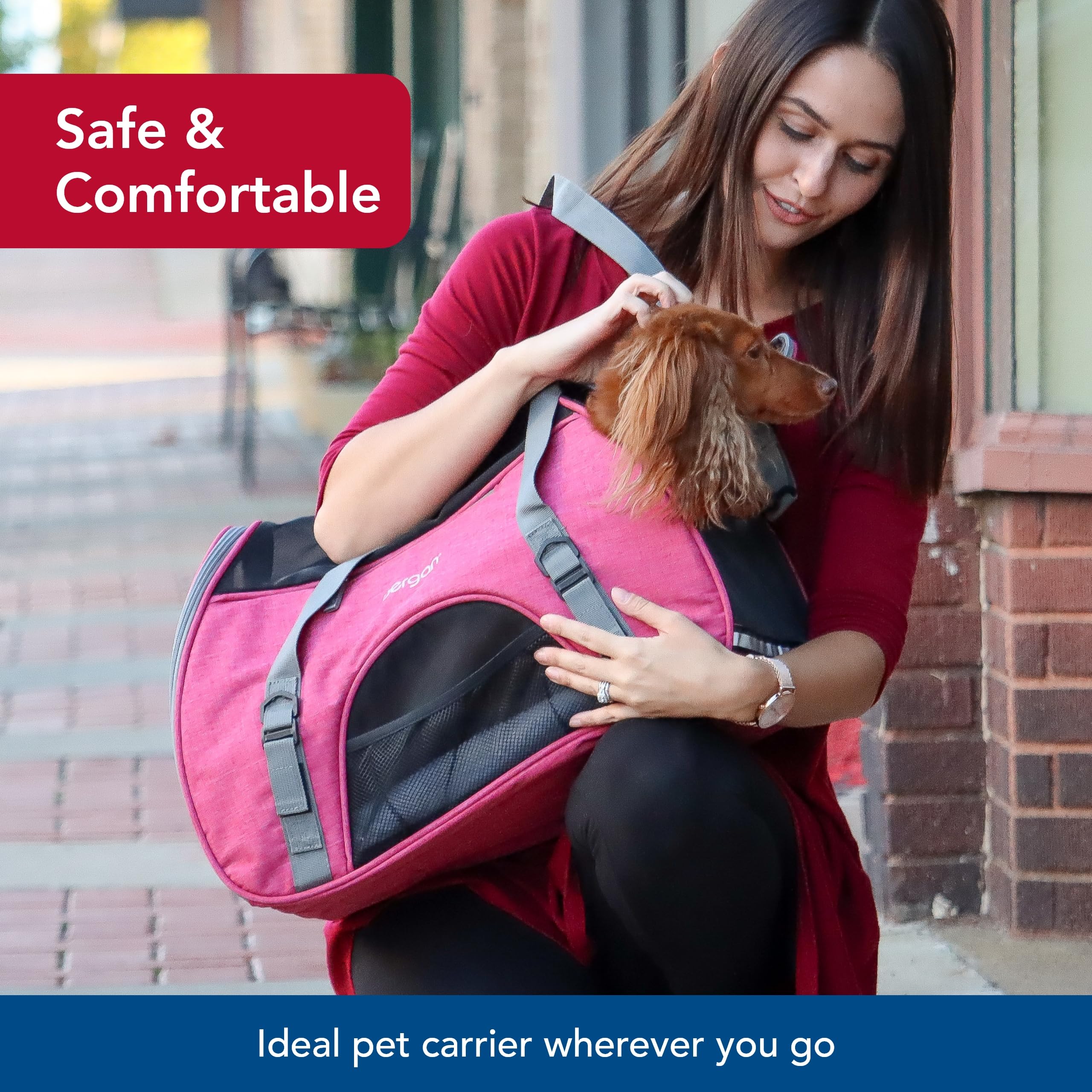 Coastal Pet Bergan Comfort Carrier - Safe And Comfortable For Dog & Cat Travel - Airline Friendly Soft And Breathable Carrier For Pet Owners - Heather Berry, 16' X 8' X 11'