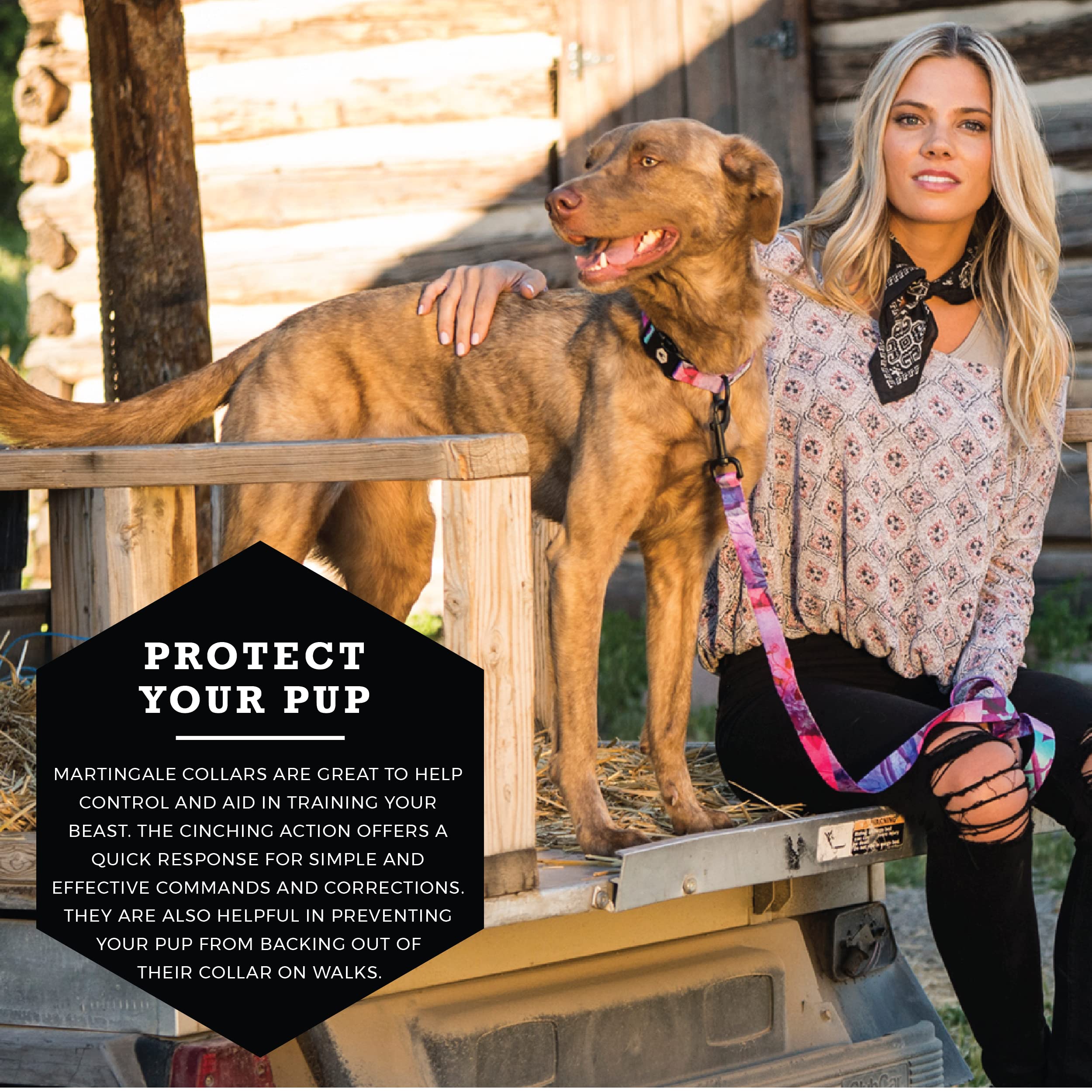 Wolfgang Heavy Duty Martingale Dog Collar With Quick Release Nylon Buckle For Walking & Training, Daydream Print, Large