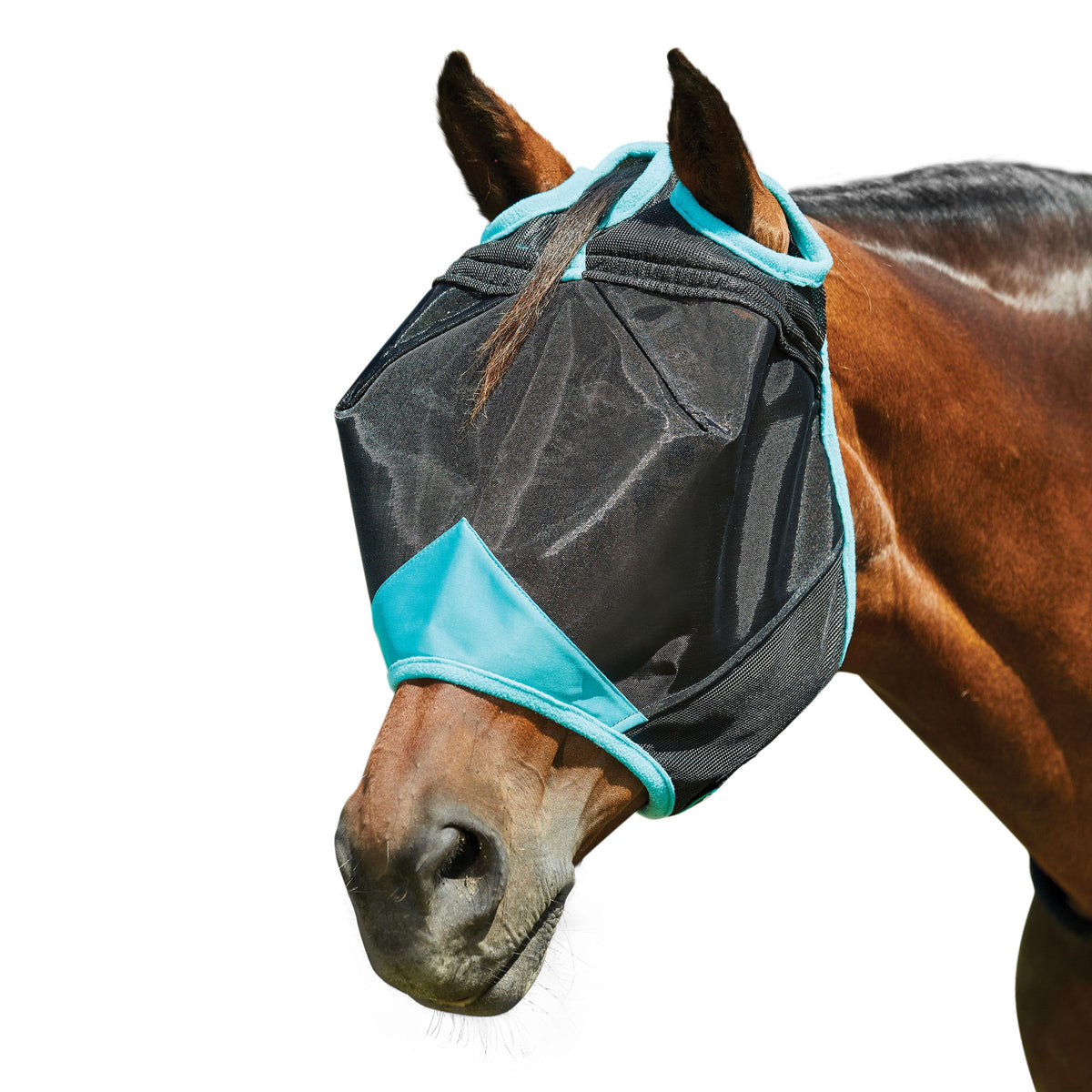 Weatherbeeta Comfitec Deluxe Fine Mesh Mask, Black/Turquoise, Mini