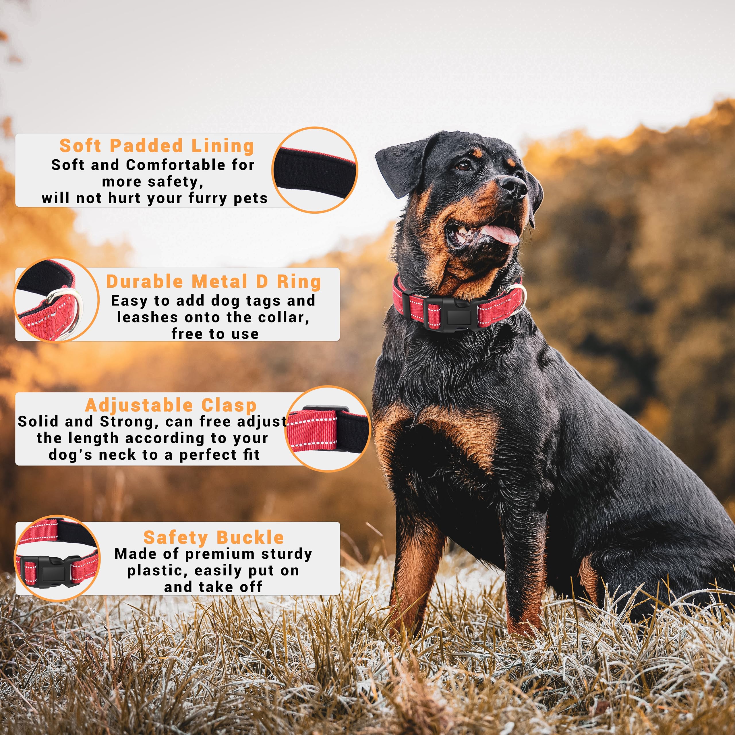 Lievuiken 2 Pack Reflective Dog Collar With Safety Locking Buckle, Adjustable Soft Breathable Comfortable Nylon Pet Collar For S